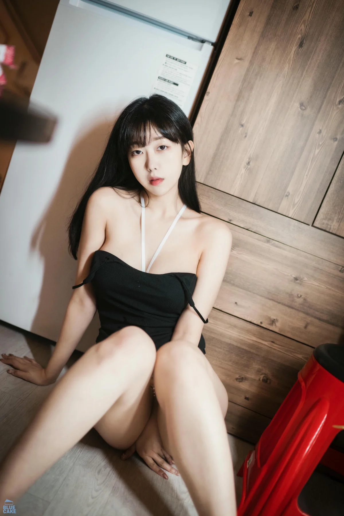 BLUECAKE No.065  Shaany黑丝吊袜翘臀诱惑 - 112