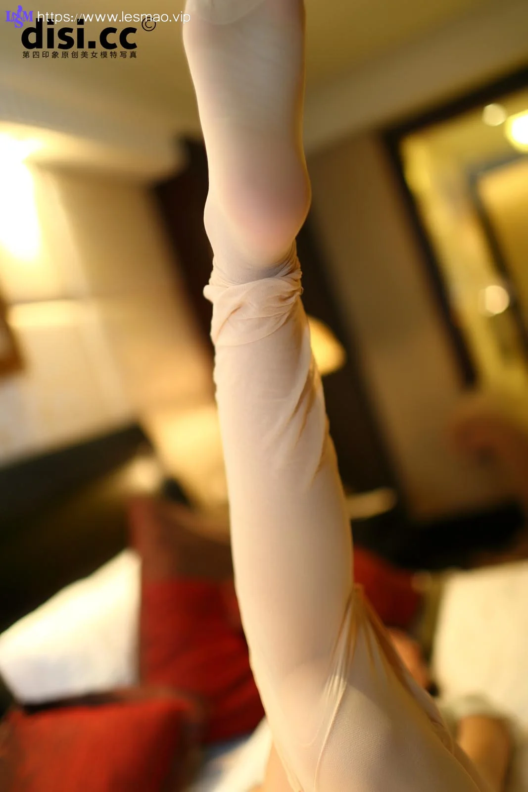 Disi 第四印象 No.210 83P/63.2M - 60
