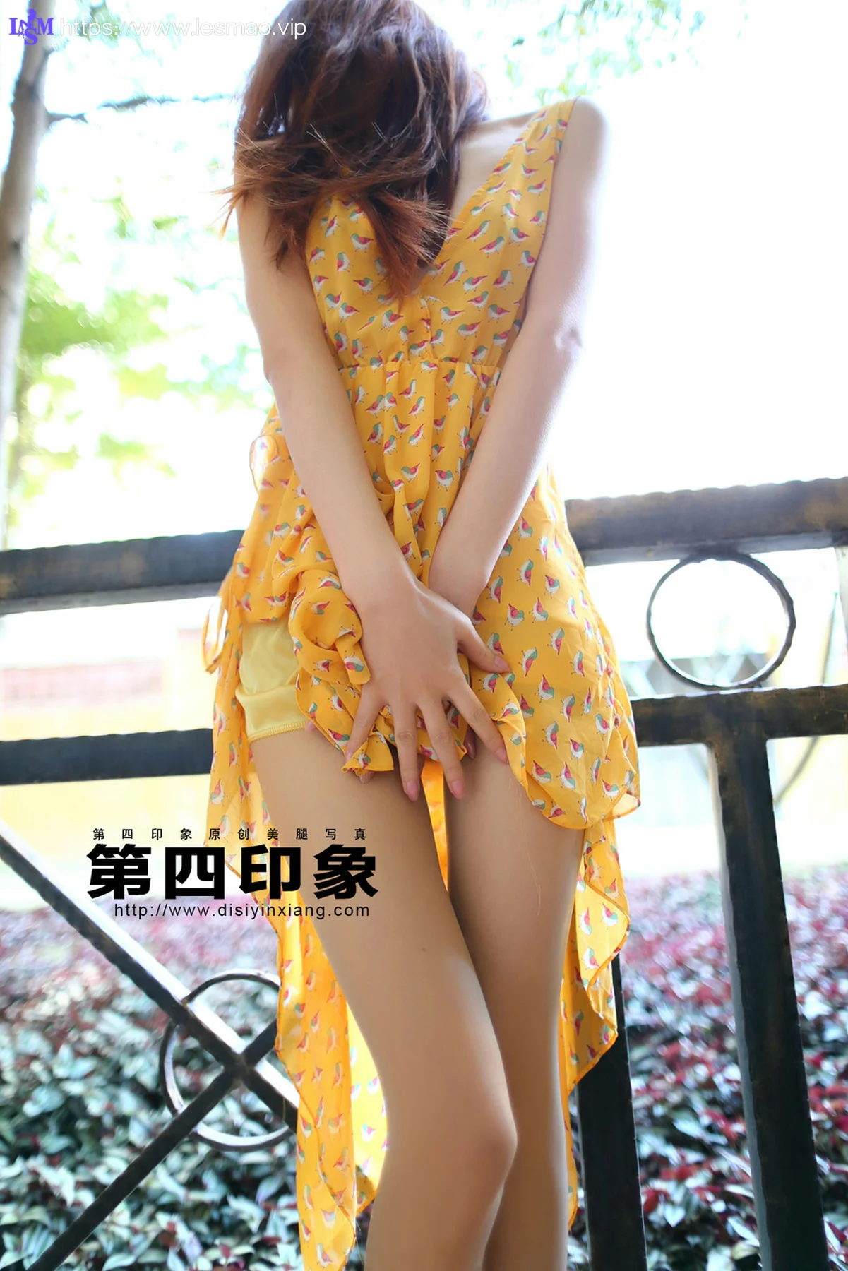 Disi 第四印象 No.394 - 15