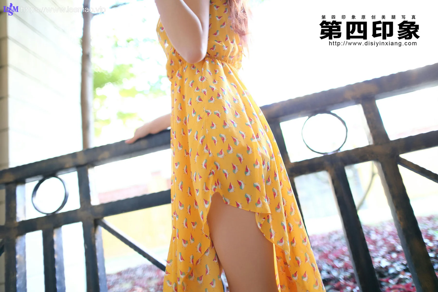 Disi 第四印象 No.394 - 19