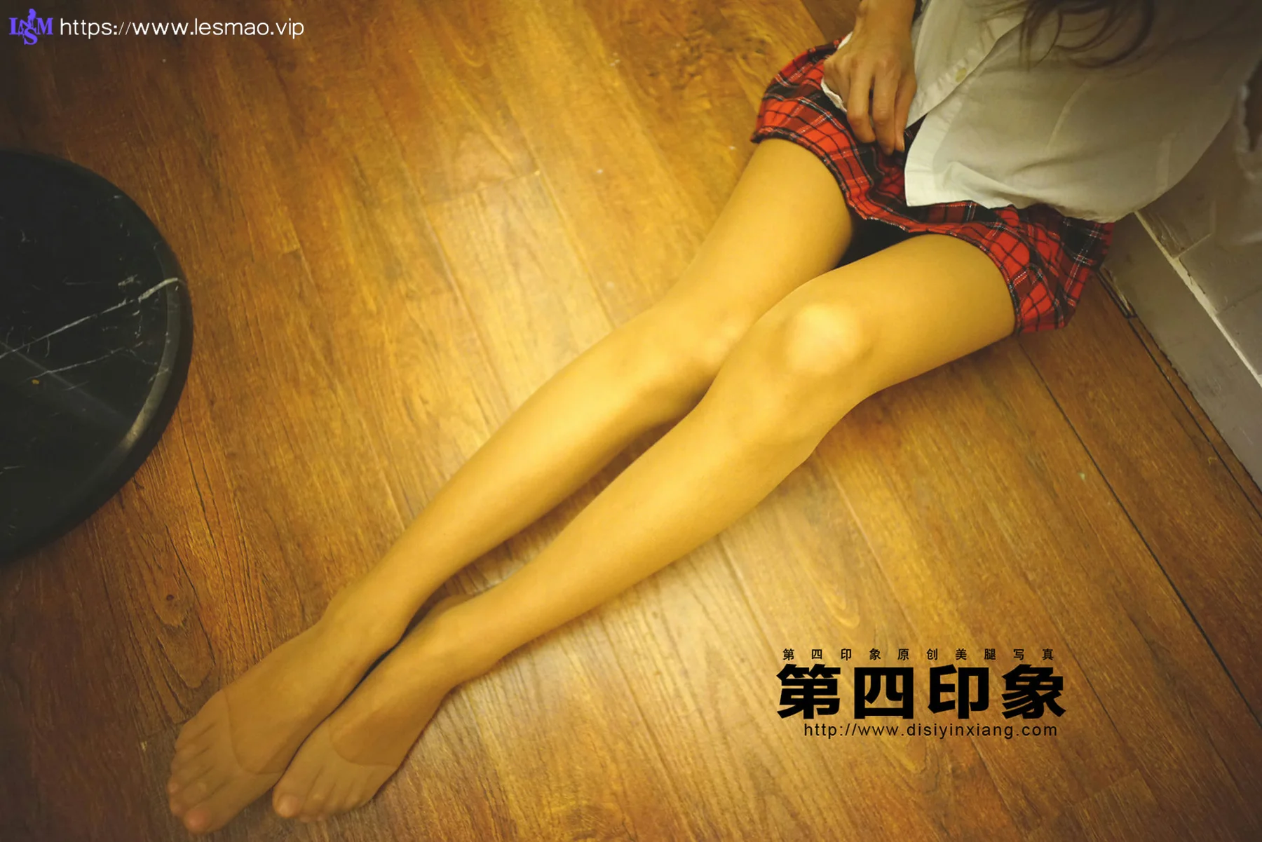 Disi 第四印象 No.422 丝袜美腿 - 15