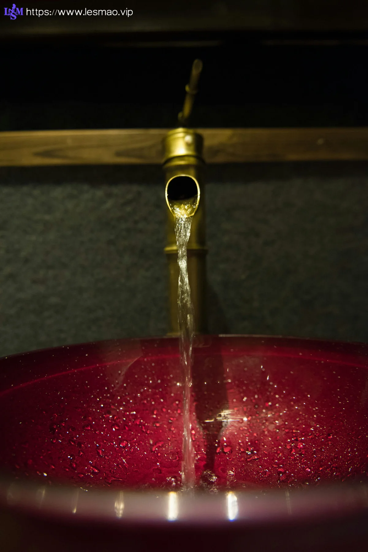 Goddes 头条女神 No.612 Modo 猫咪6M - 12