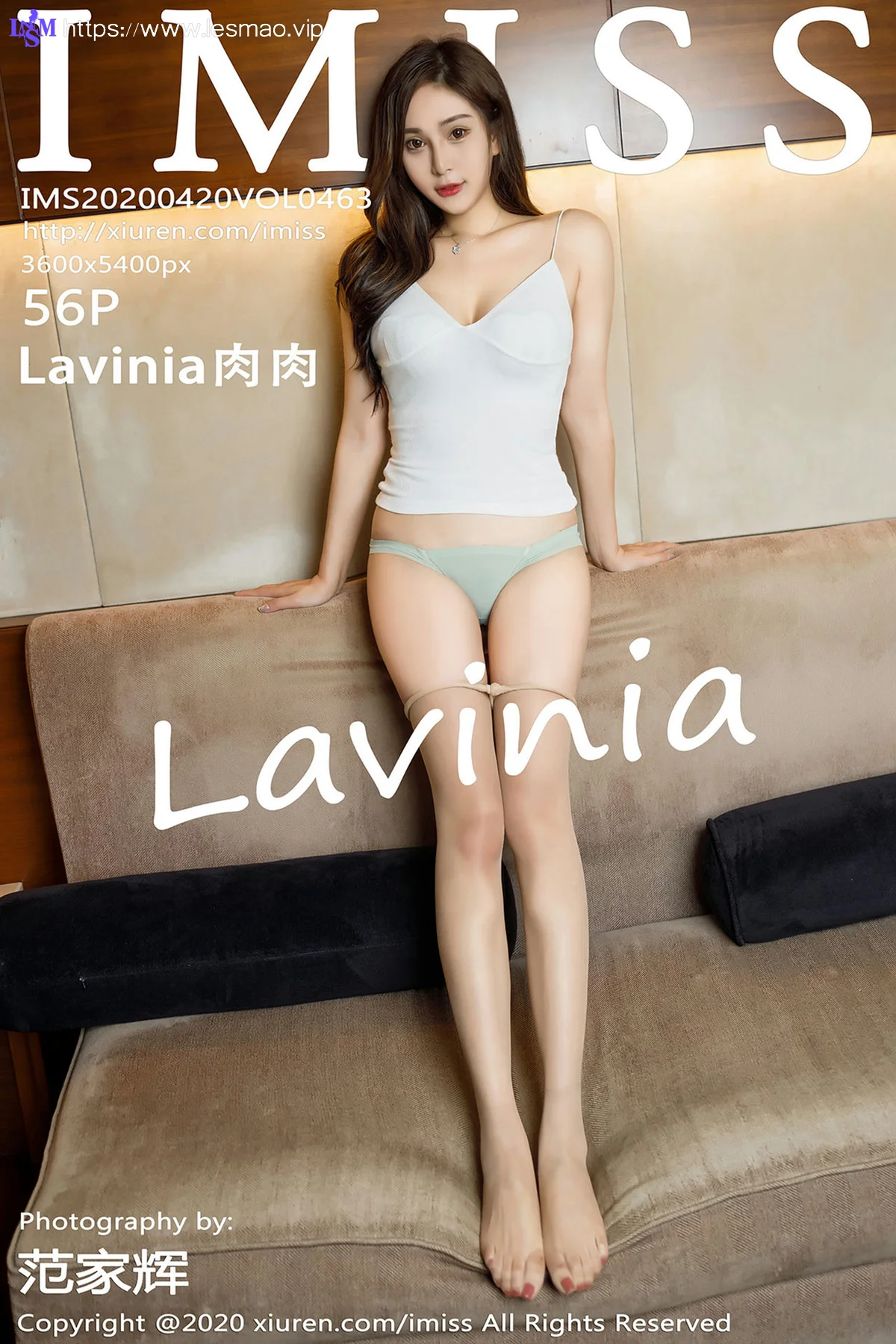 IMiss 爱蜜社 Vol.463 典雅短裙 Lavinia肉肉 丝袜美腿特辑 - 57