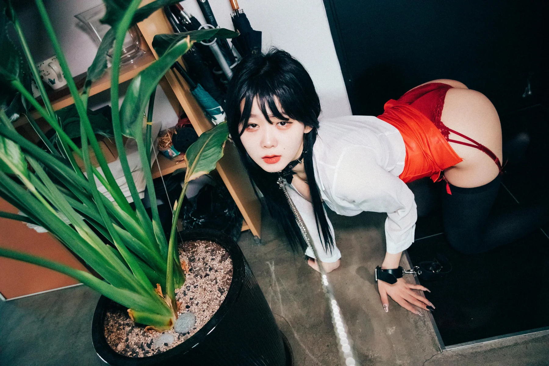 Loozy No.018 Zia办公室诱惑 - 188