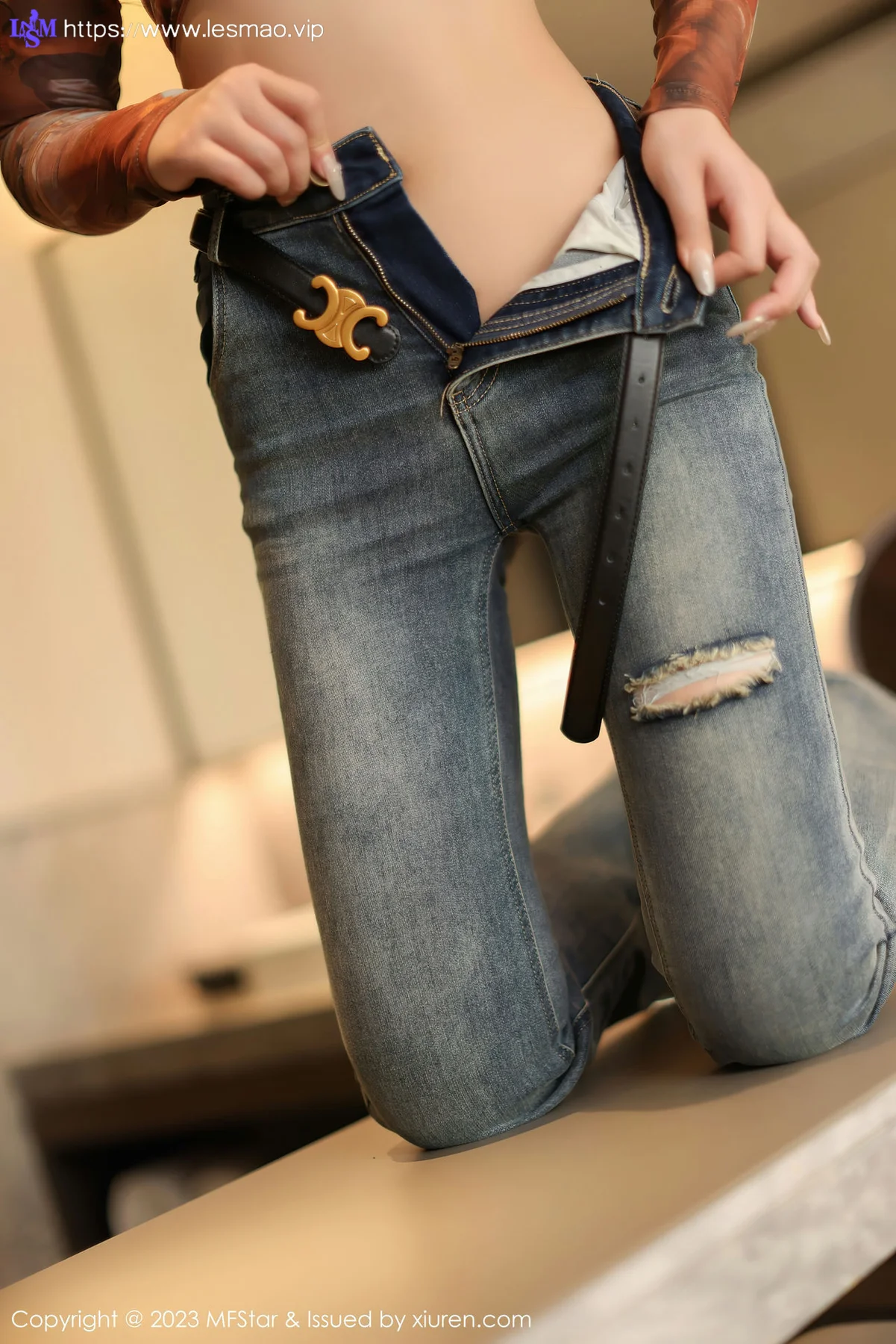 MFStar 模范学院 Vol.594 露露luncy 灰色薄纱服饰性感写真 - 17