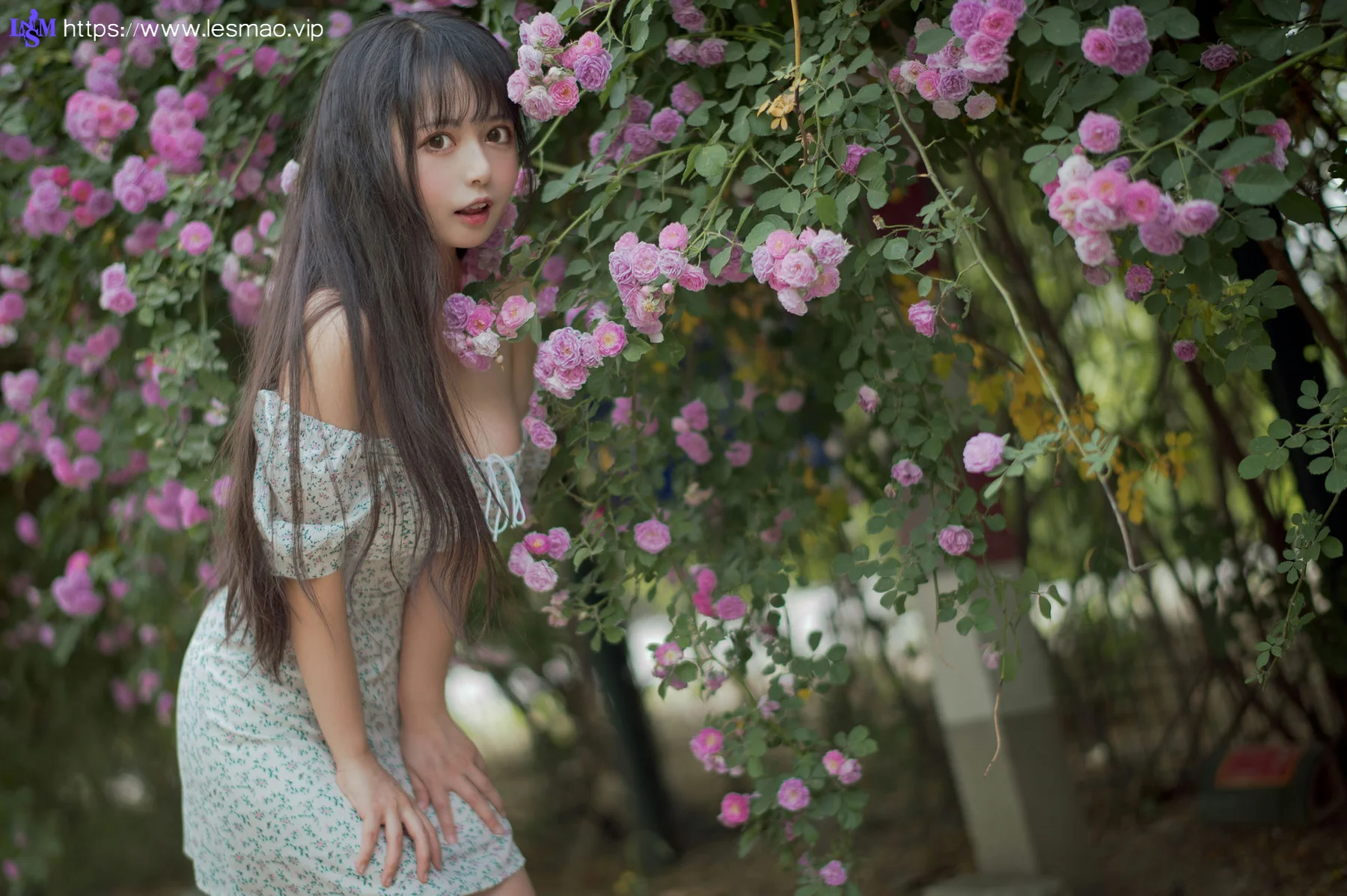 MTYH 喵糖映画 Vol.338  蔷薇少女 - 15