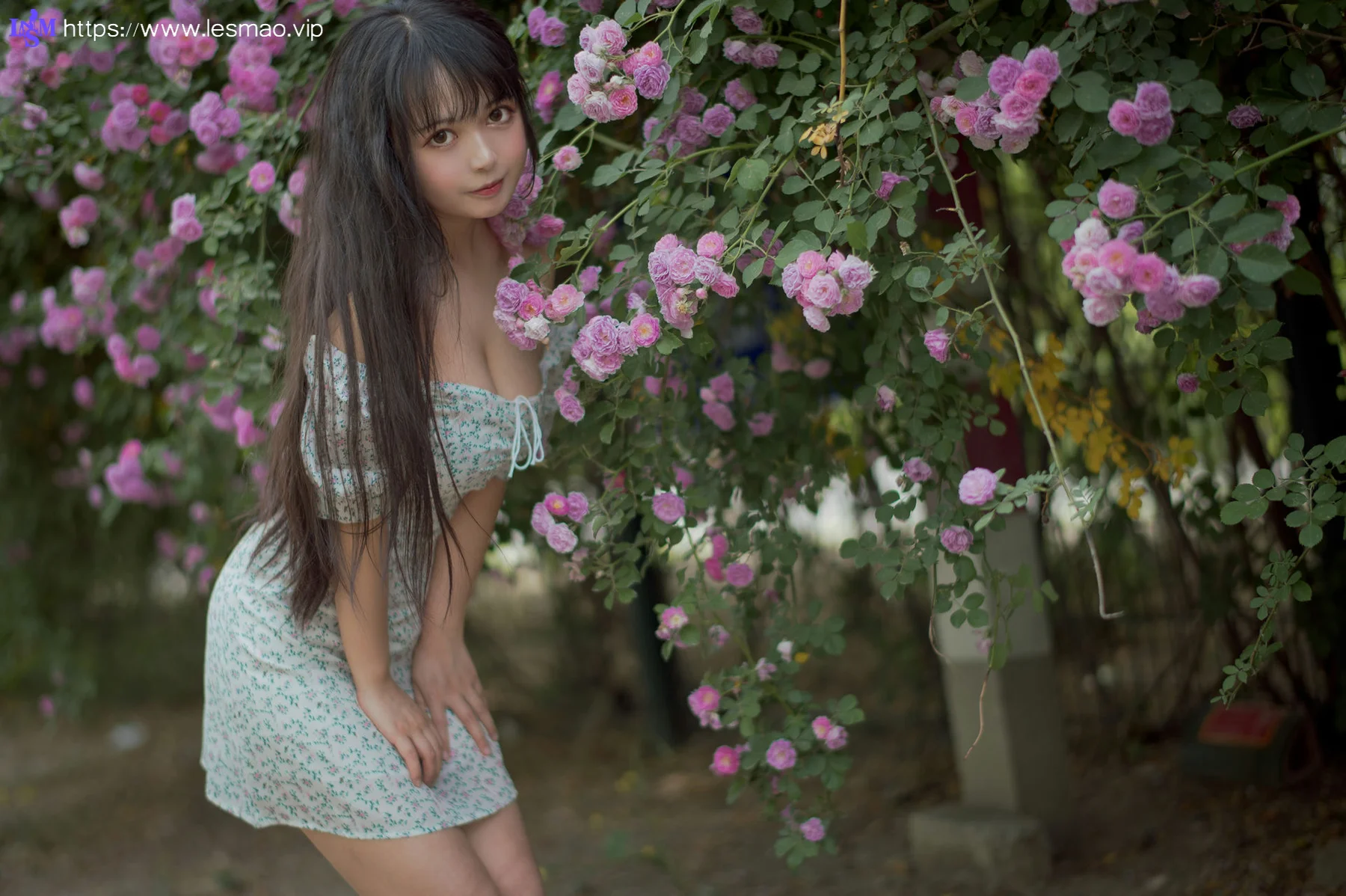 MTYH 喵糖映画 Vol.338  蔷薇少女 - 16