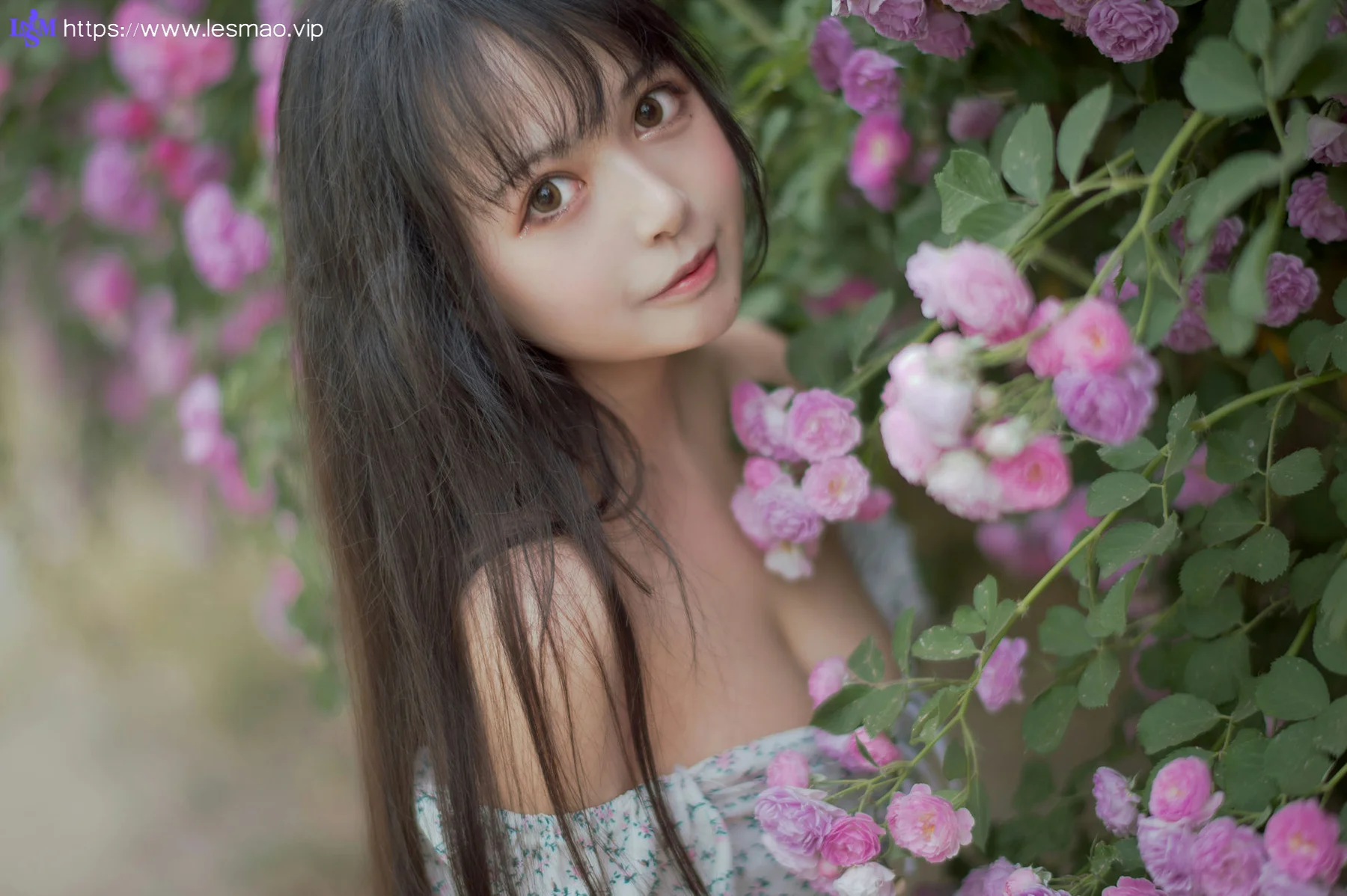 MTYH 喵糖映画 Vol.338  蔷薇少女 - 17