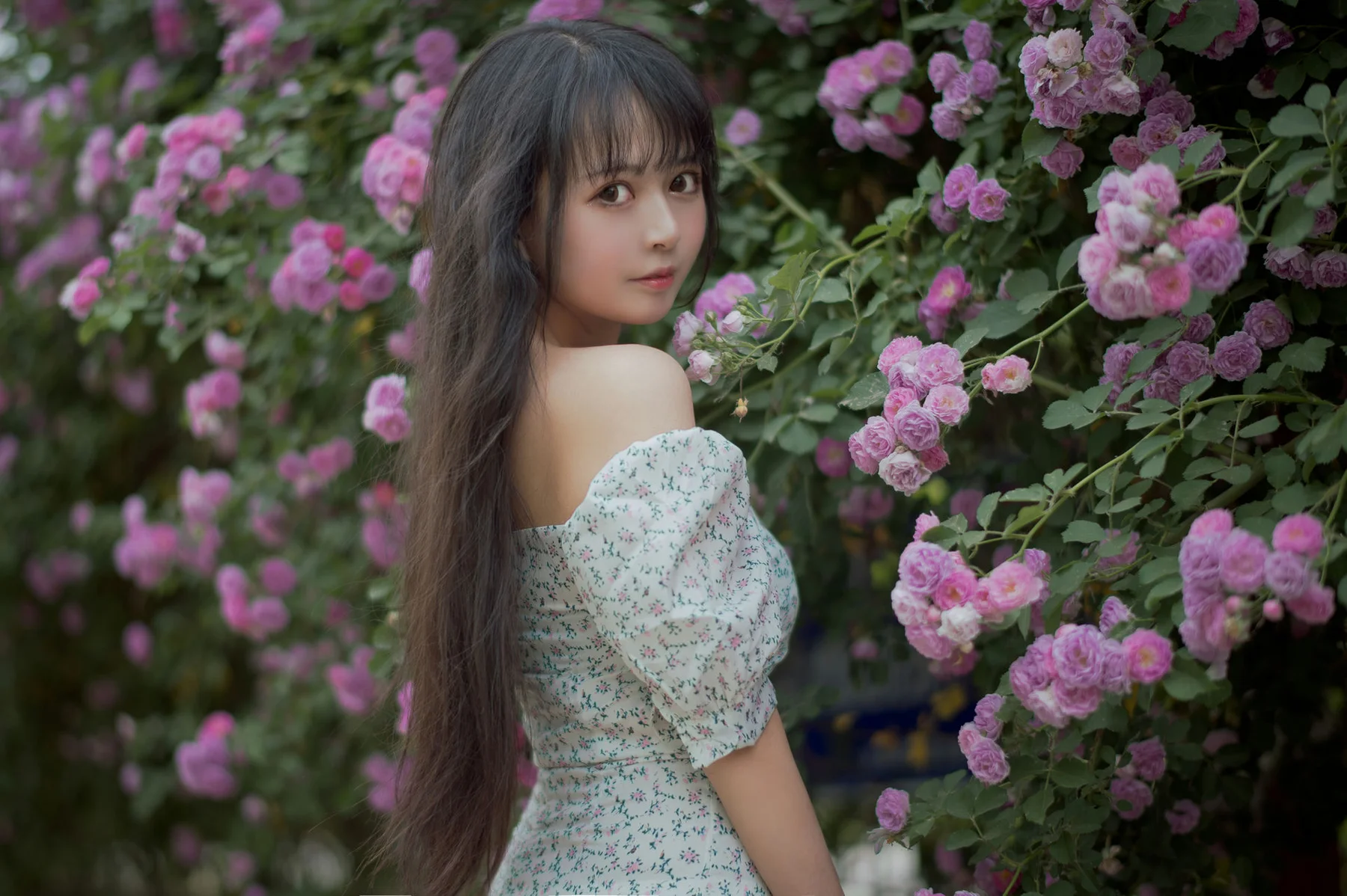 MTYH 喵糖映画 Vol.338  蔷薇少女 - 21