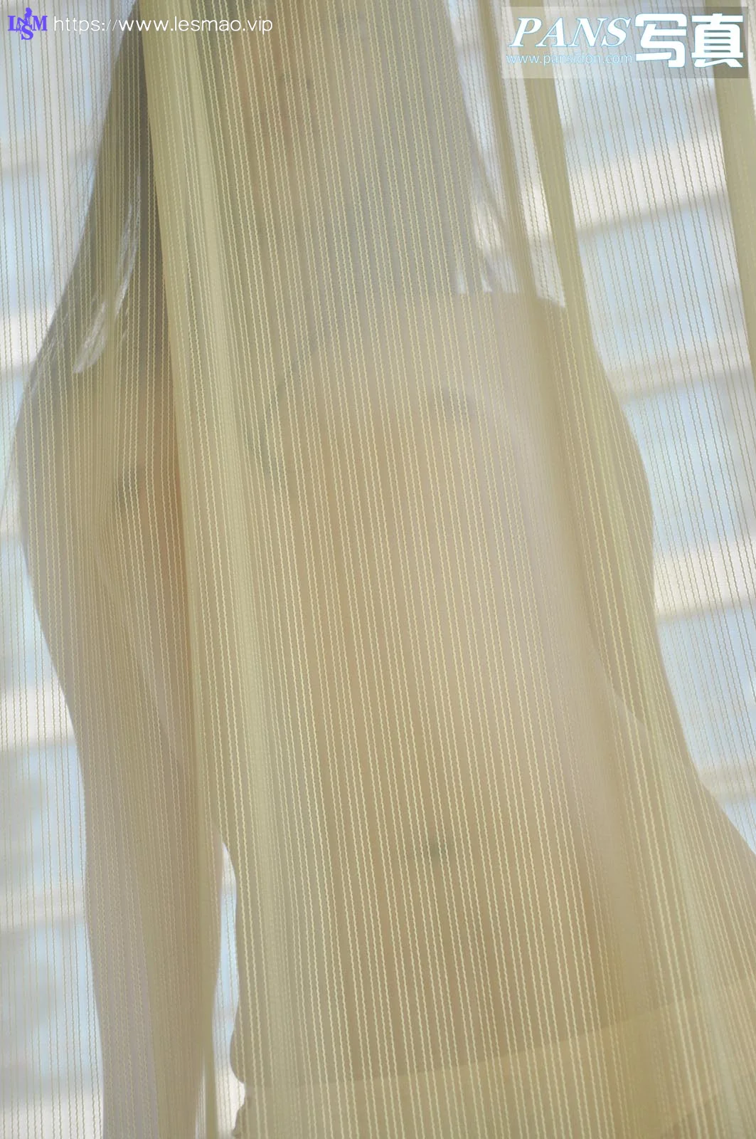 Pans 写真 No.055 31P/133M - 16