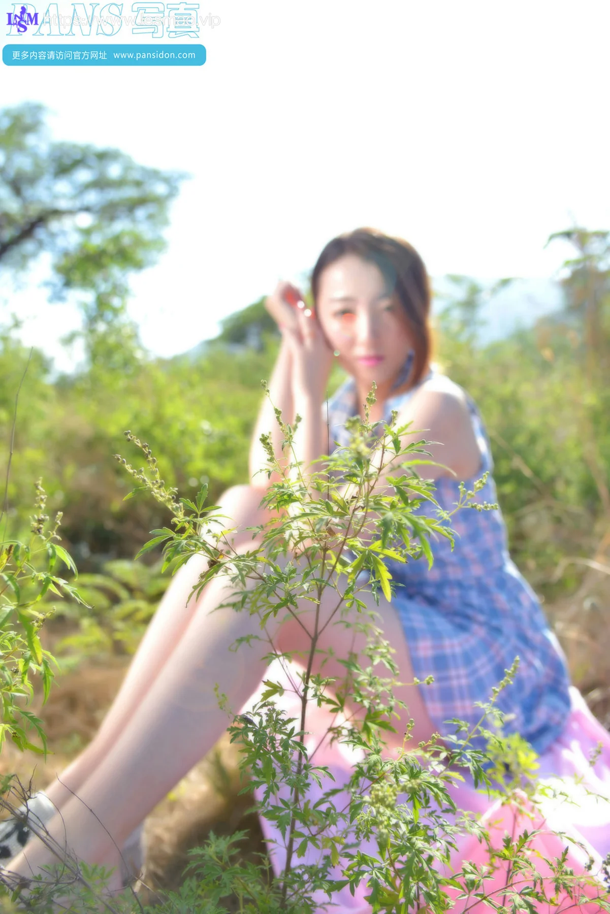 Pans 写真 No.356 紫萱 - 34