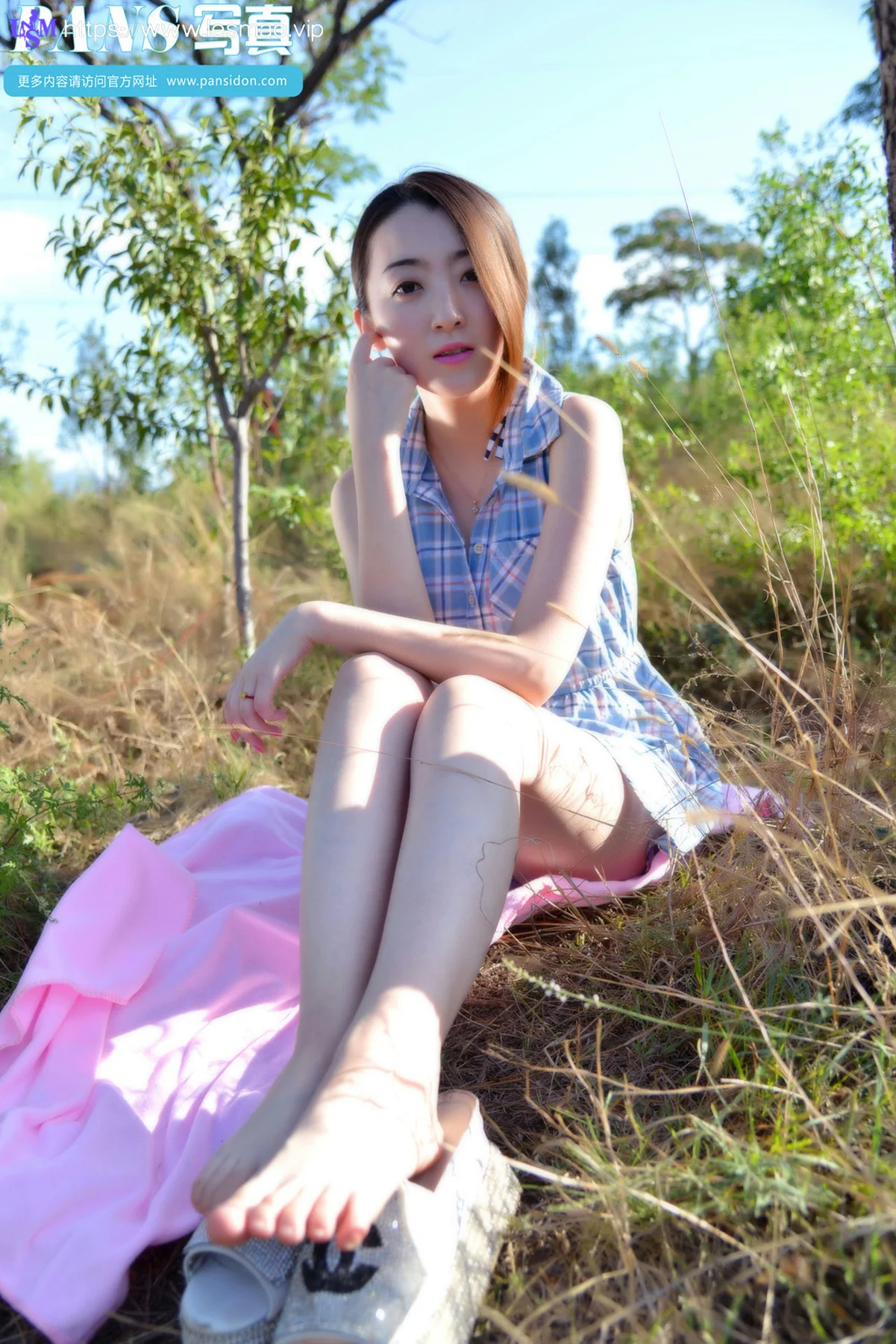 Pans 写真 No.356 紫萱 - 51