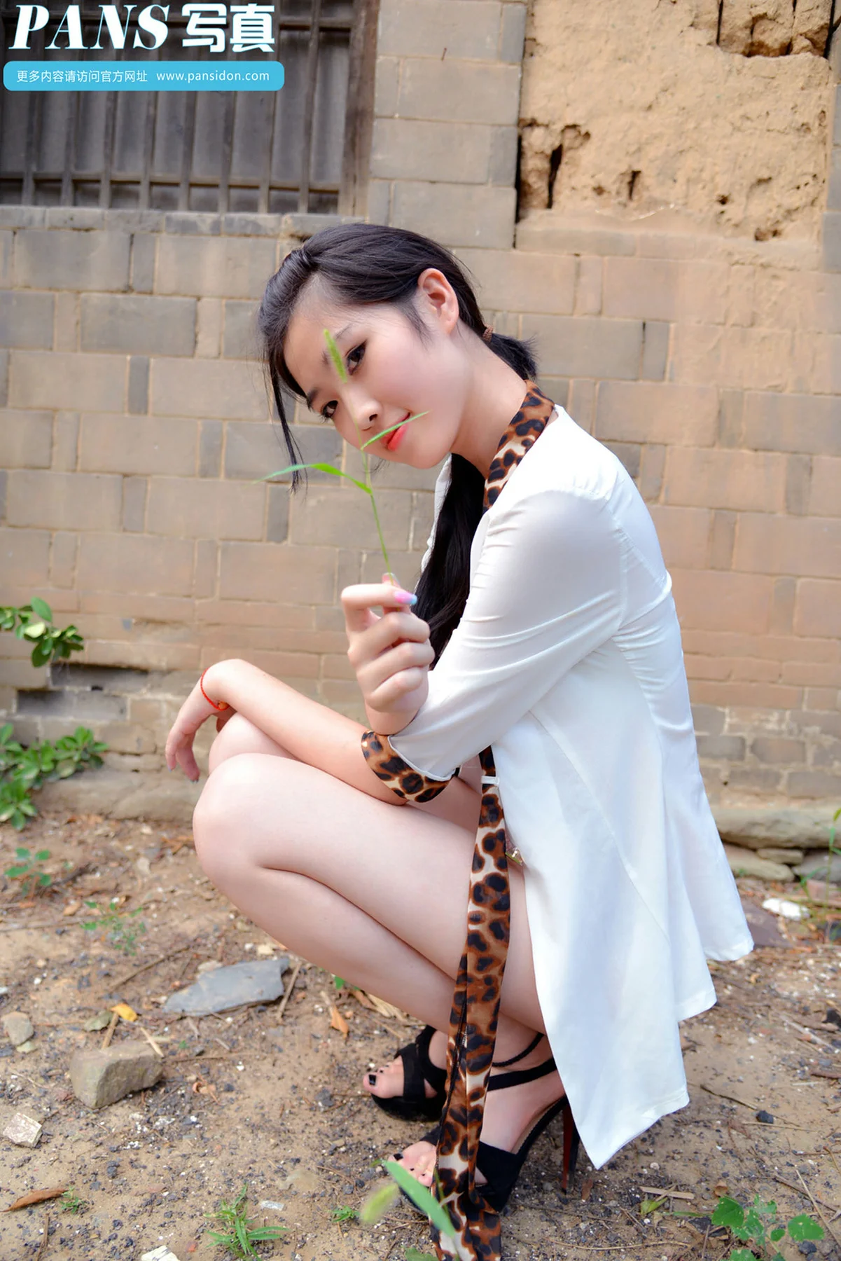 Pans 写真 No.375 水水 - 35