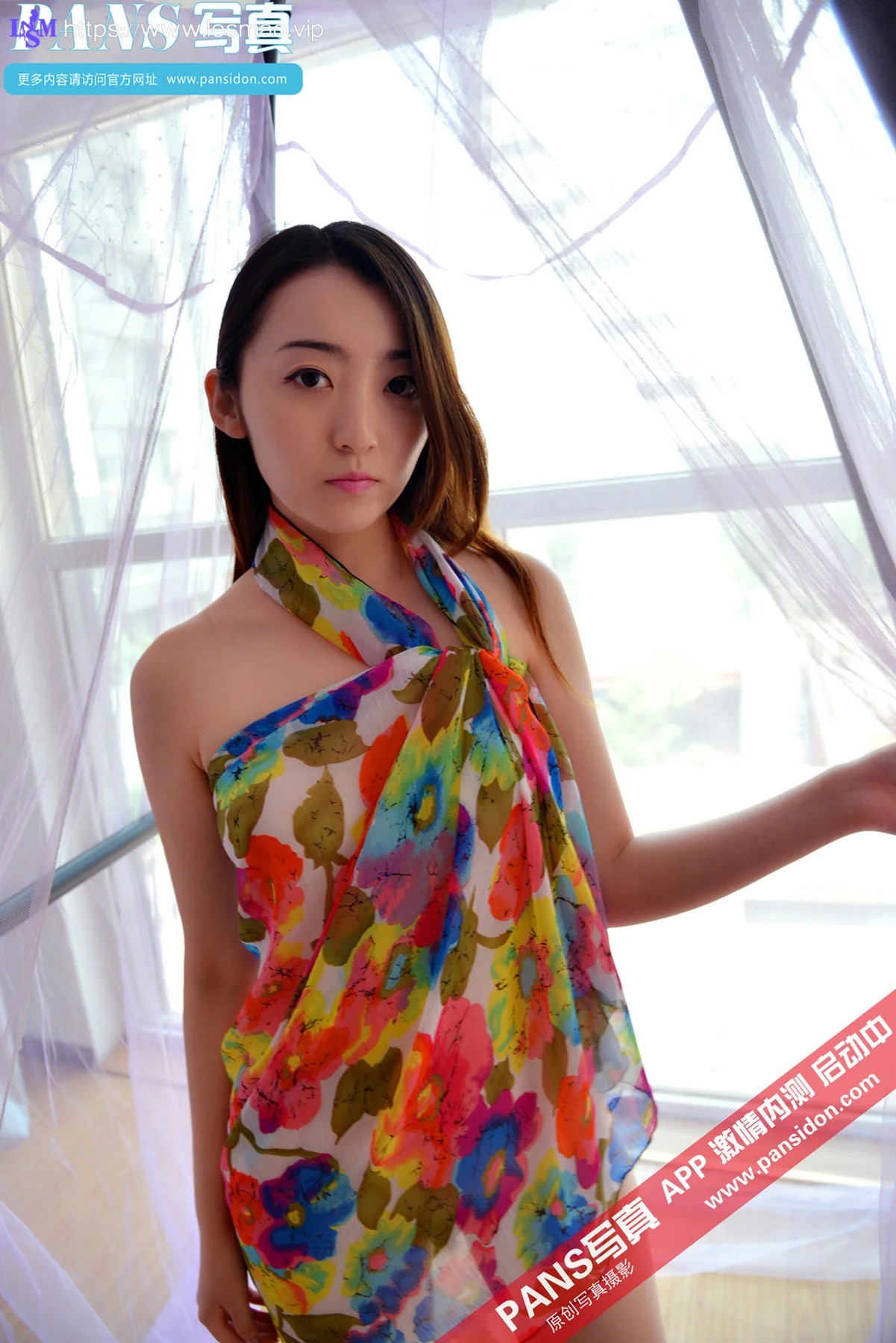 Pans 写真 No.381 紫萱 - 18
