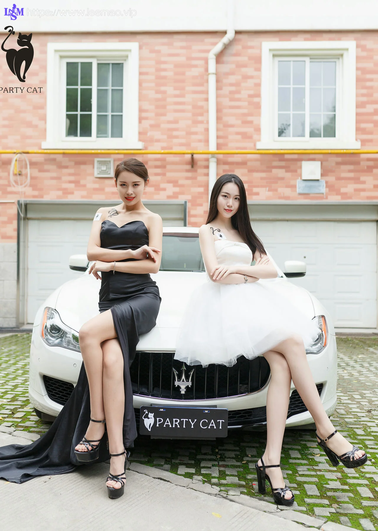PartyCat 轰趴猫 No.001 Modo 楠哥 - 18