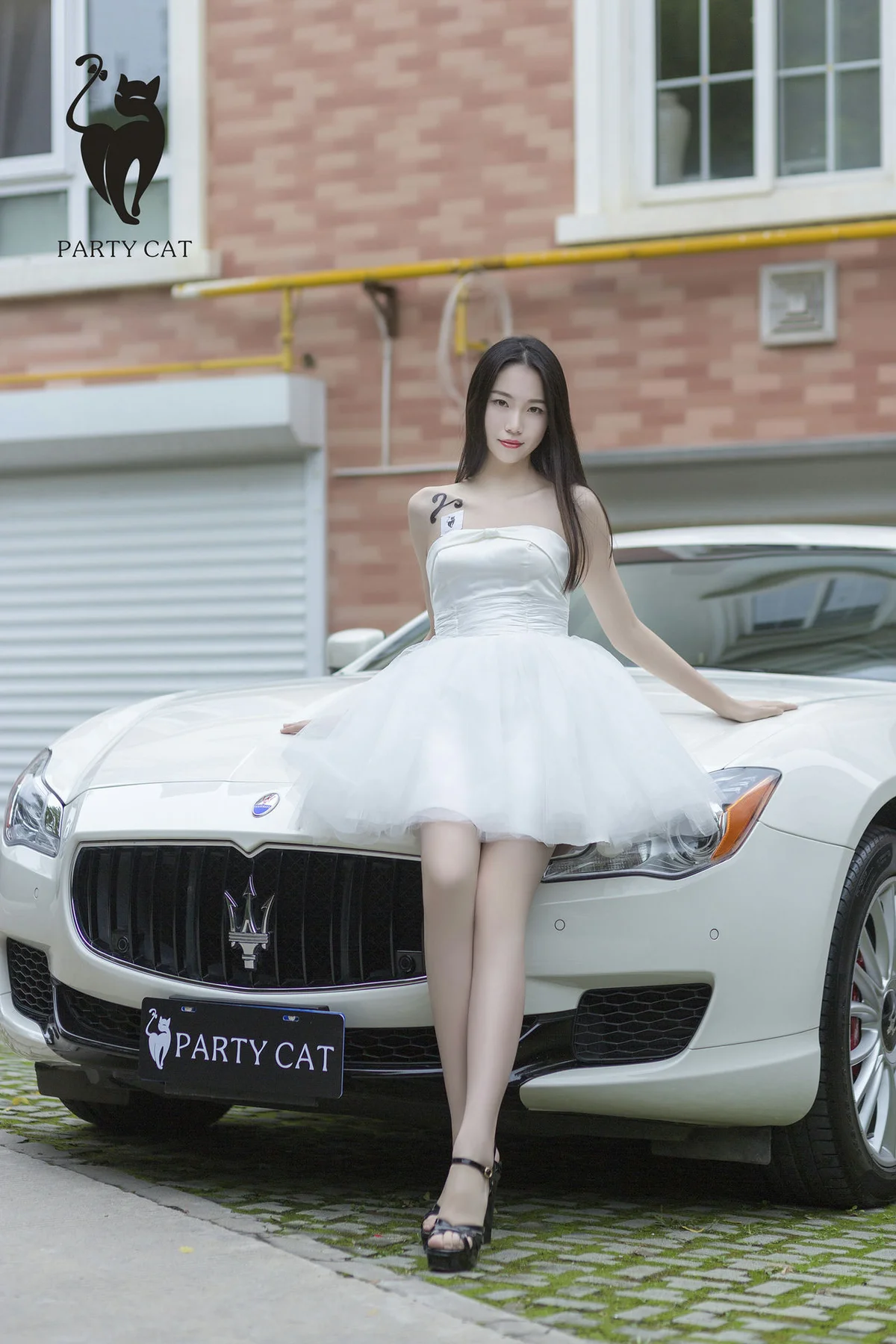 PartyCat 轰趴猫 No.006 Modo 楠哥 - 36
