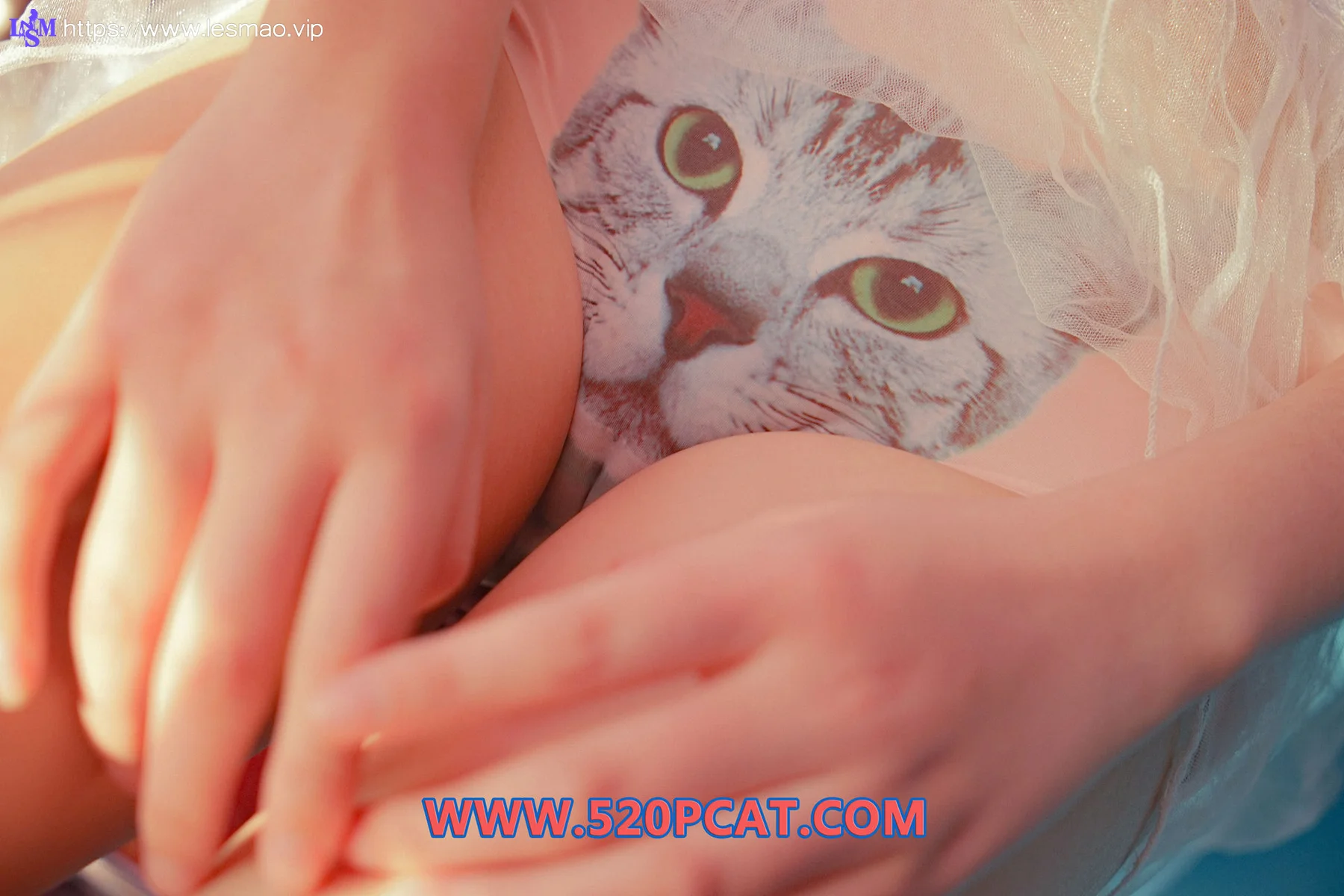 PartyCat 轰趴猫 No.020 Modo 七七 - 12