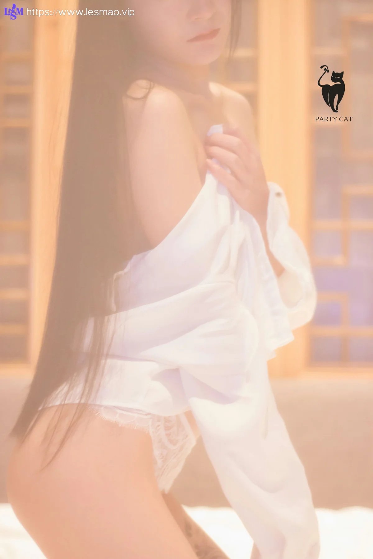 PartyCat 轰趴猫 No.035 Modo 朦胧美女 - 45