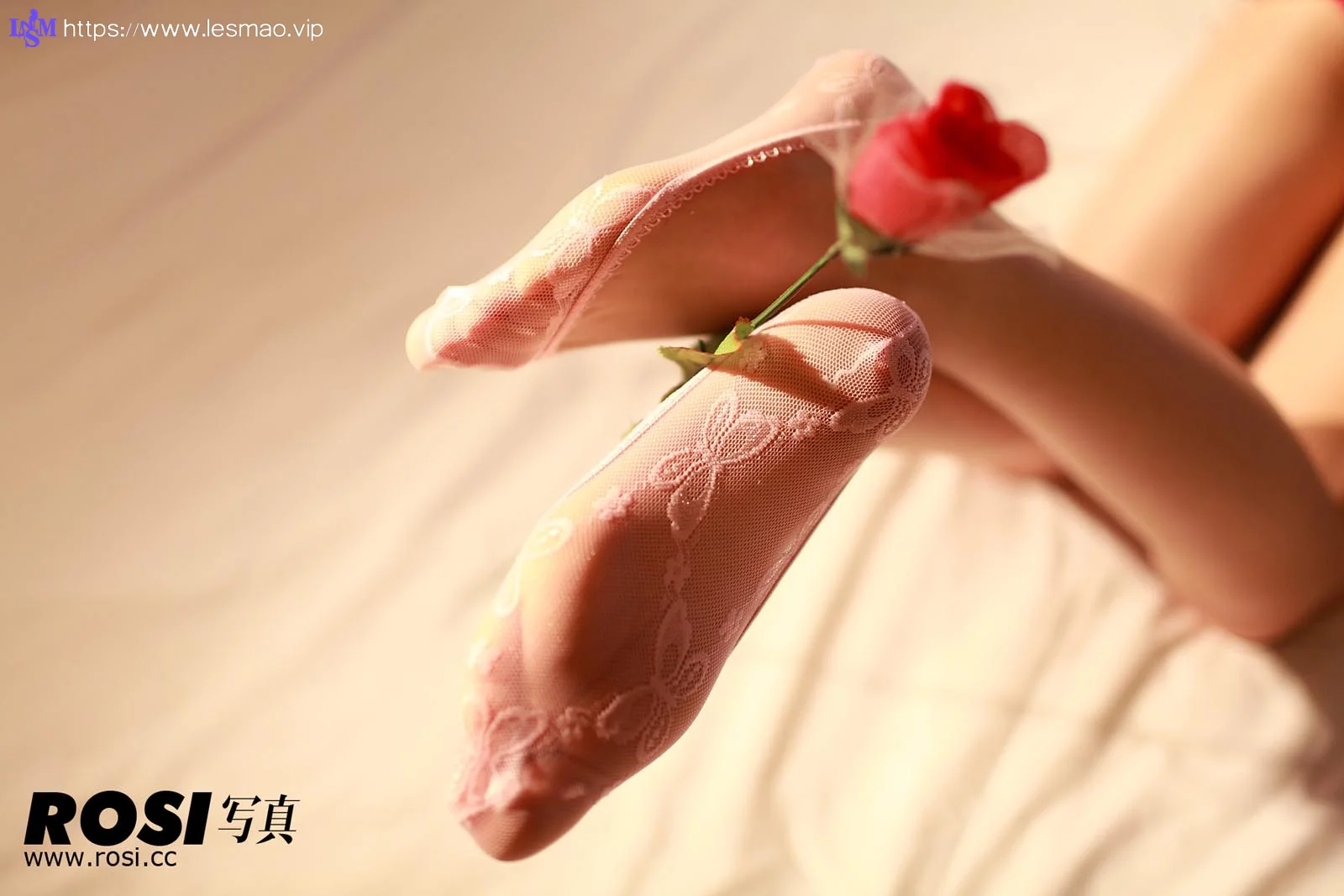 Rosi 写真 No.028 33P/19.08M - 18