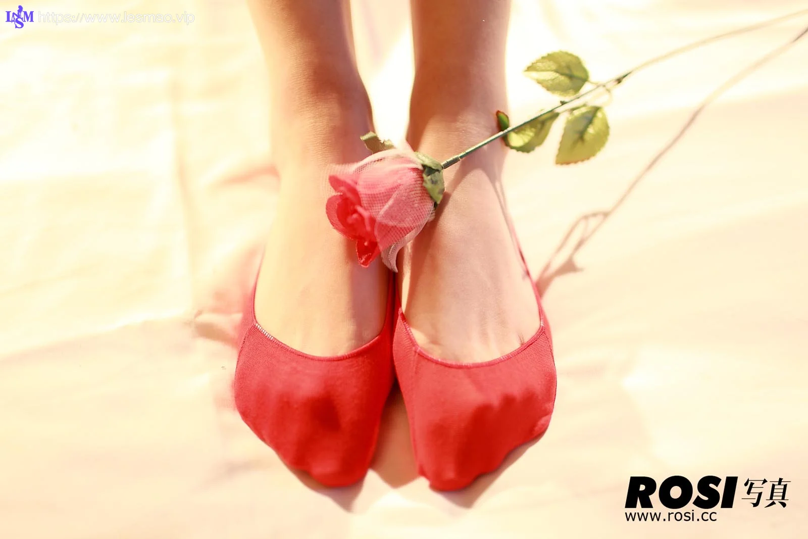 Rosi 写真 No.028 33P/19.08M - 26