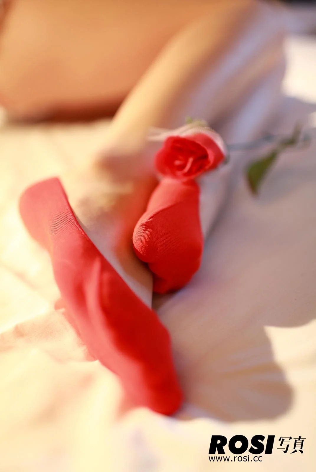 Rosi 写真 No.028 33P/19.08M - 28