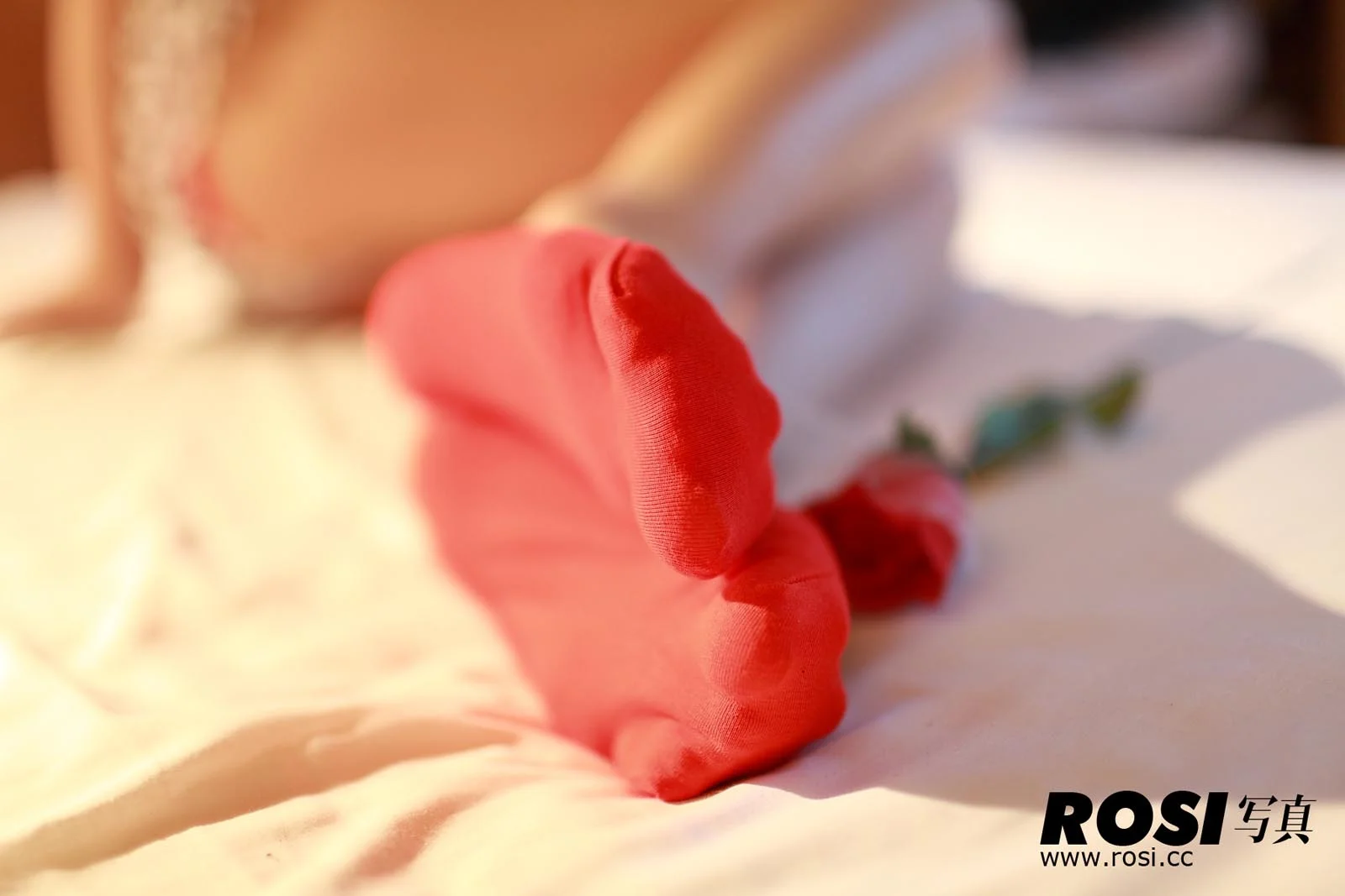 Rosi 写真 No.028 33P/19.08M - 29