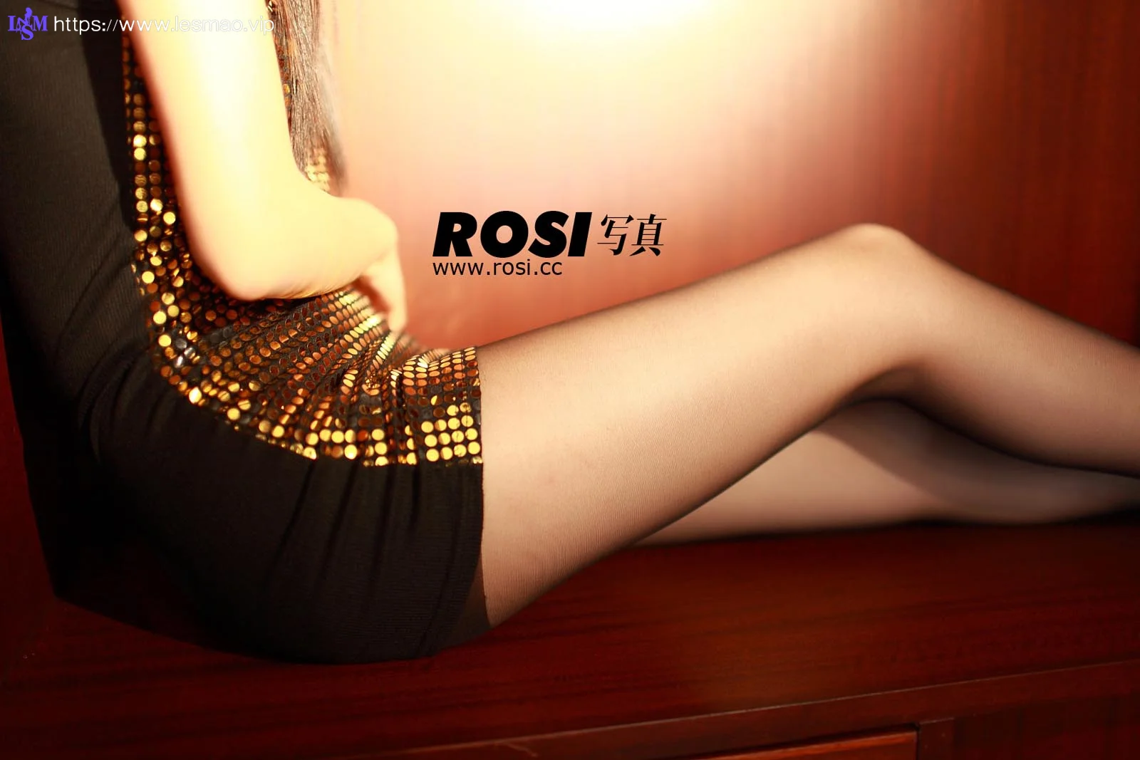 Rosi 写真 No.047 31P/24.71M - 22