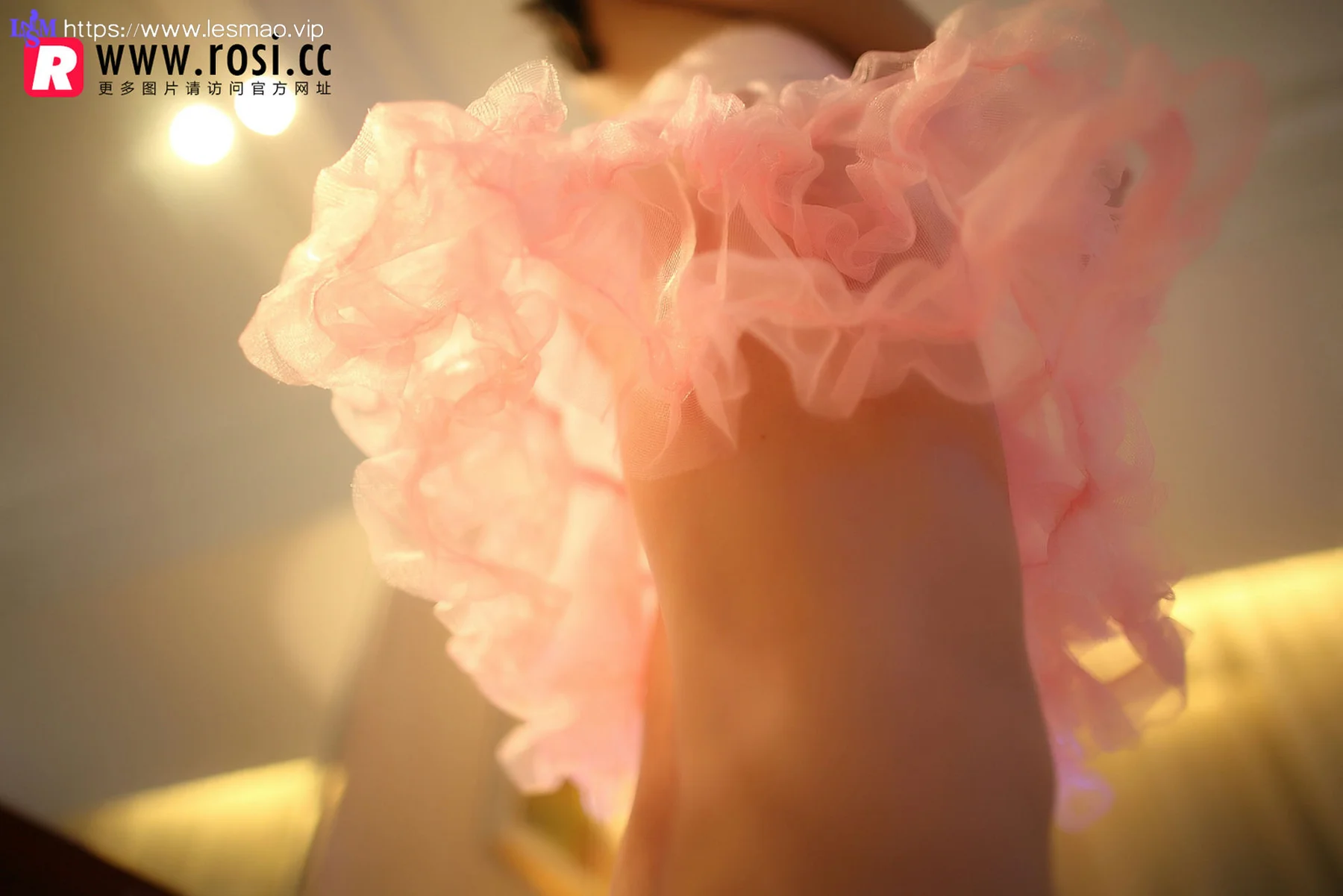 Rosi 写真 No.1068 丝袜美臀 - 17