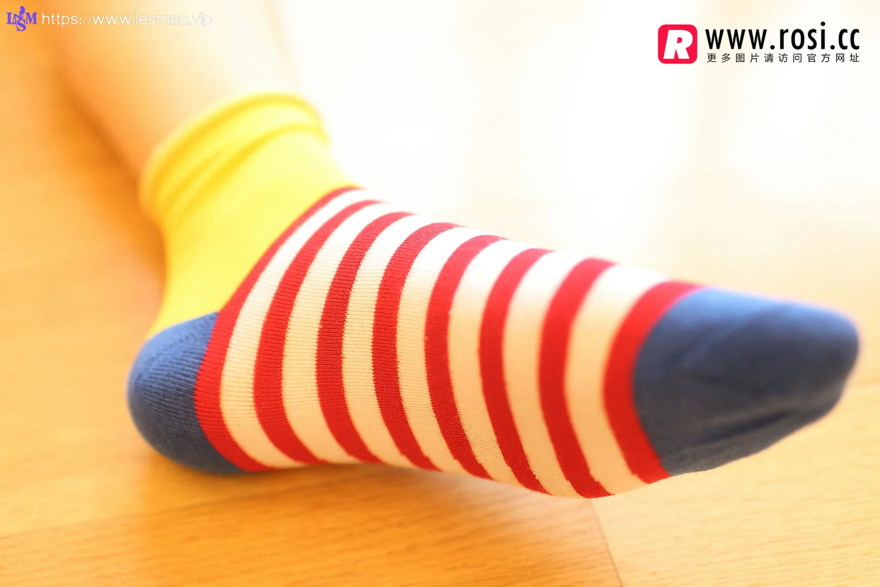 Rosi 写真 No.1072 - 12