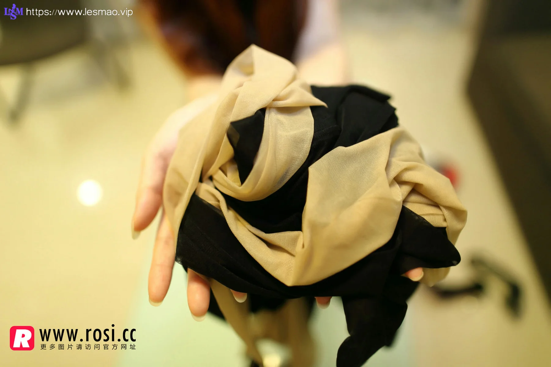 Rosi 写真 No.1120 - 111