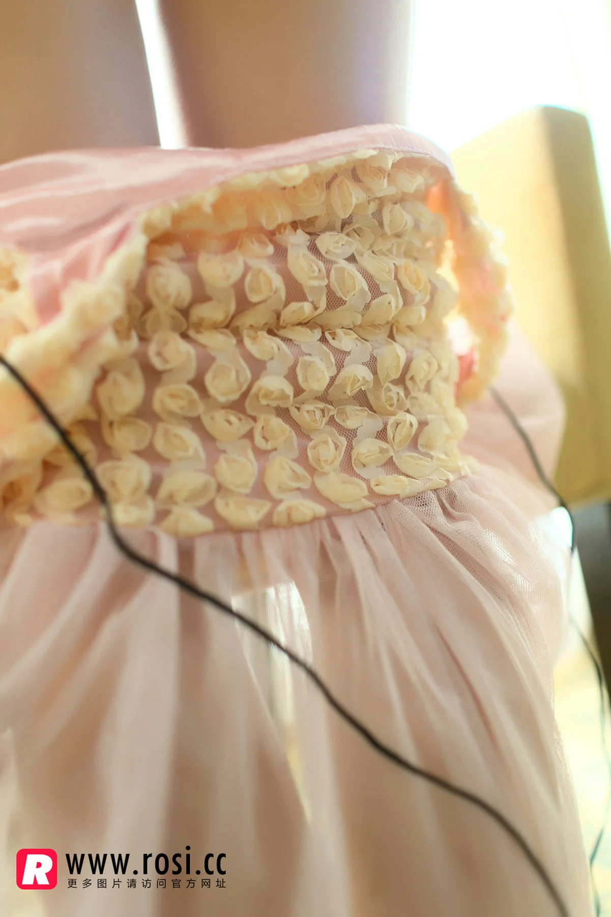 Rosi 写真 No.1126 - 26