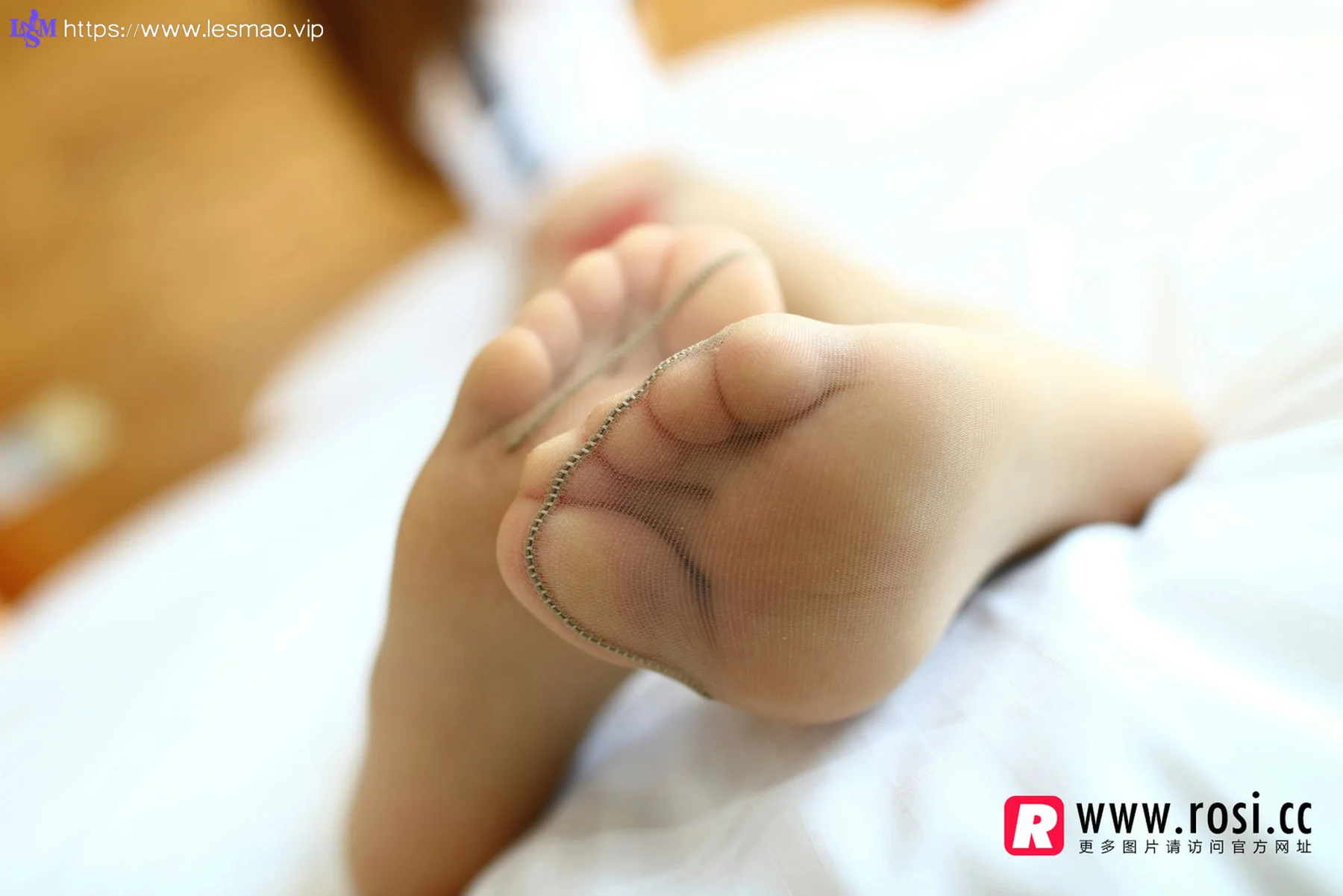 Rosi 写真 No.1164 - 12