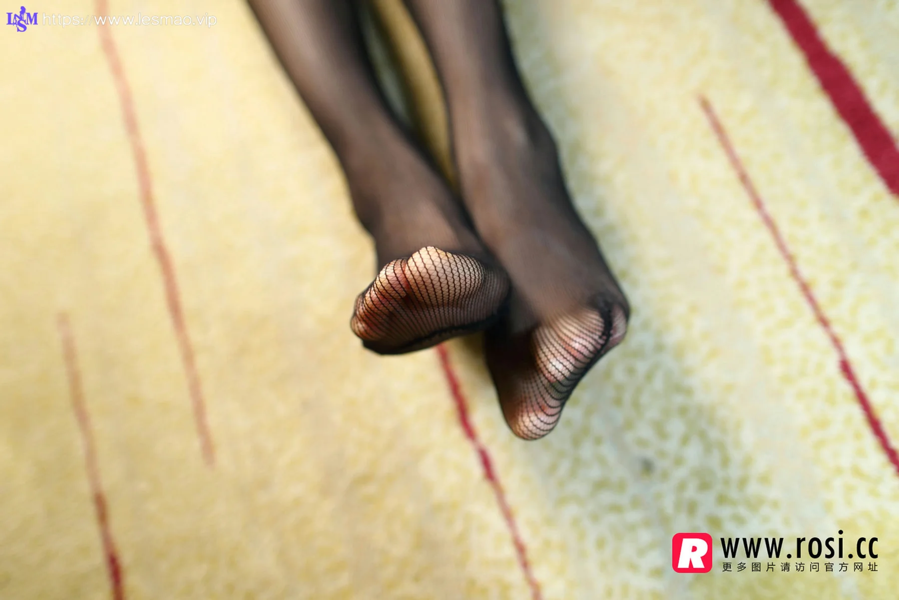 Rosi 写真 No.1171 - 24