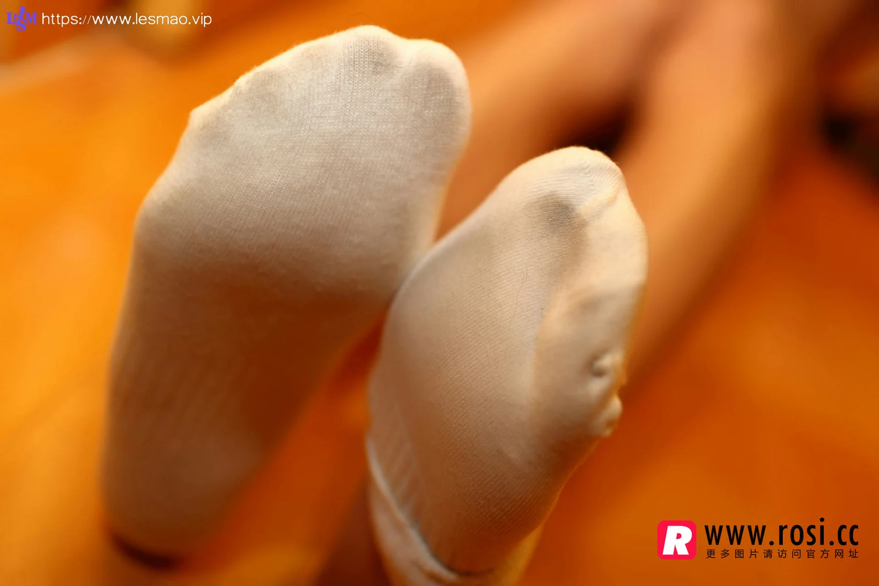 Rosi 写真 No.1233 - 19