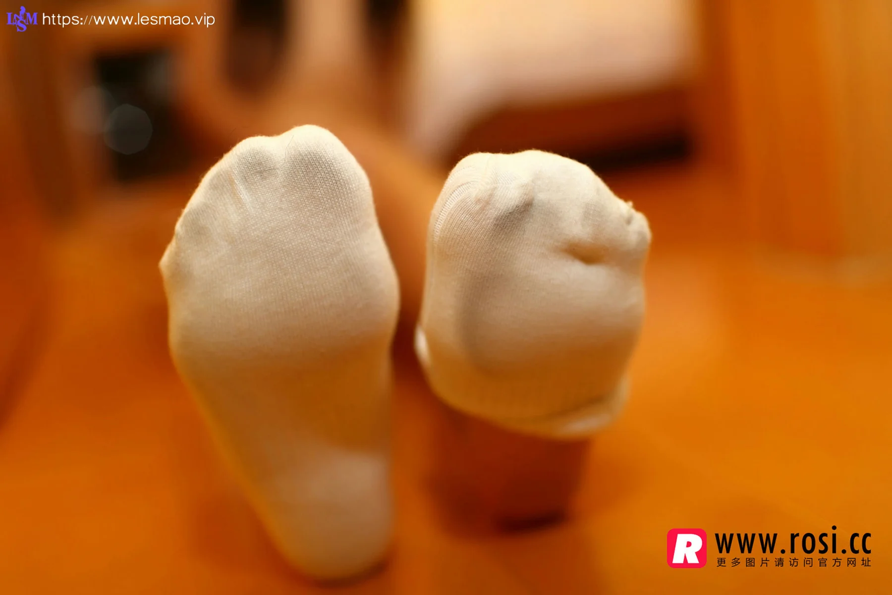 Rosi 写真 No.1233 - 20
