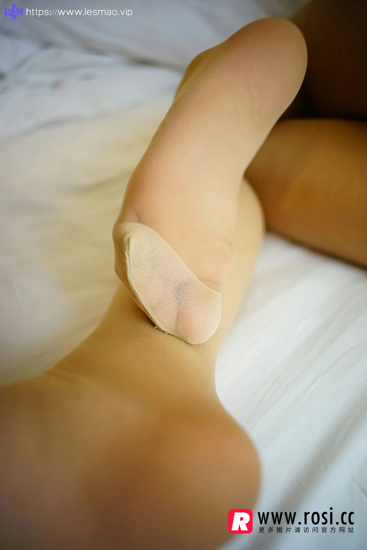 Rosi 写真 No.1242 - 15