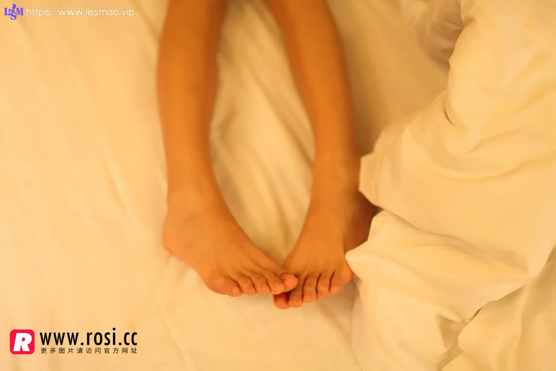 Rosi 写真 No.1272 2015.06.03 - 13