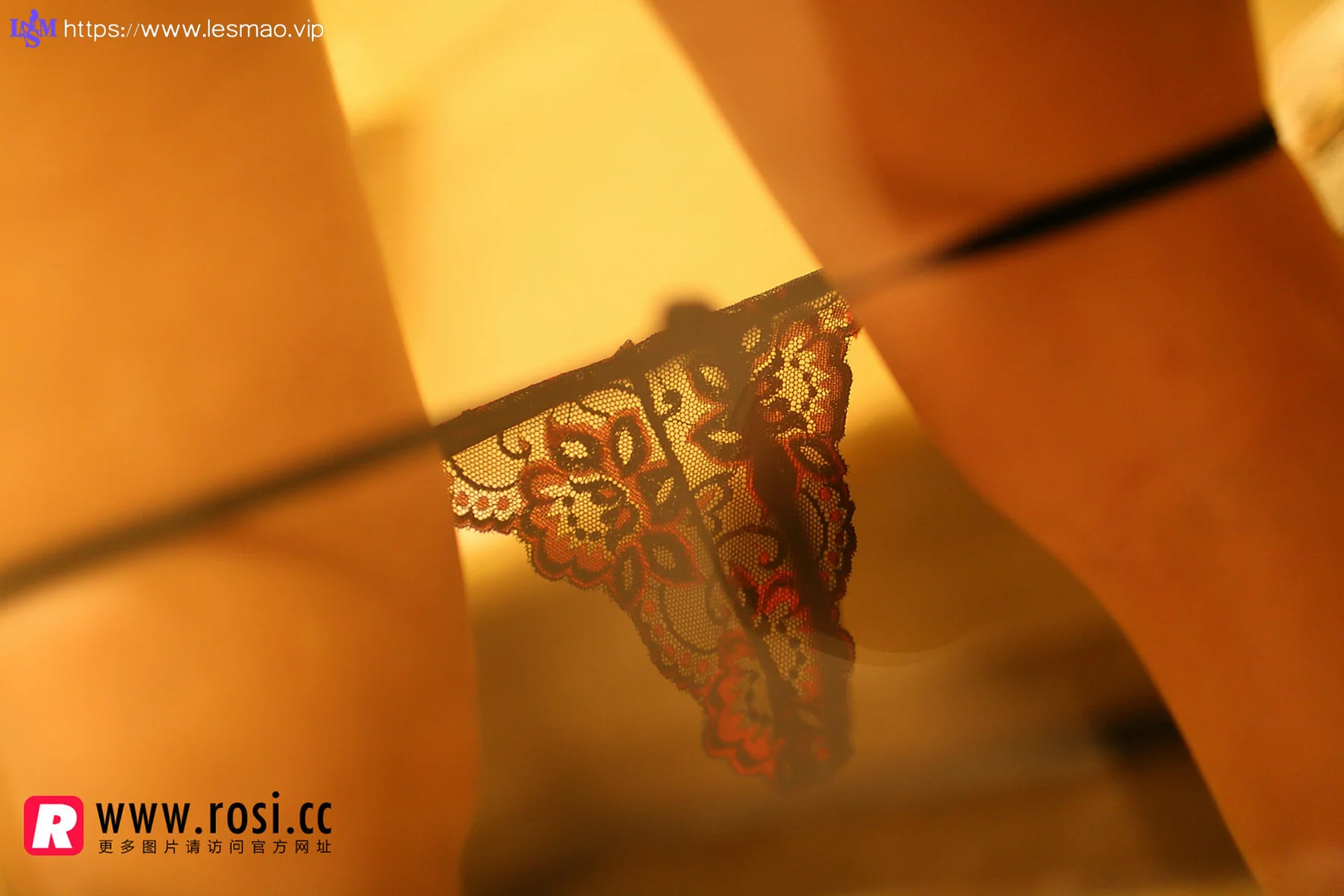 Rosi 写真 No.1299 - 37