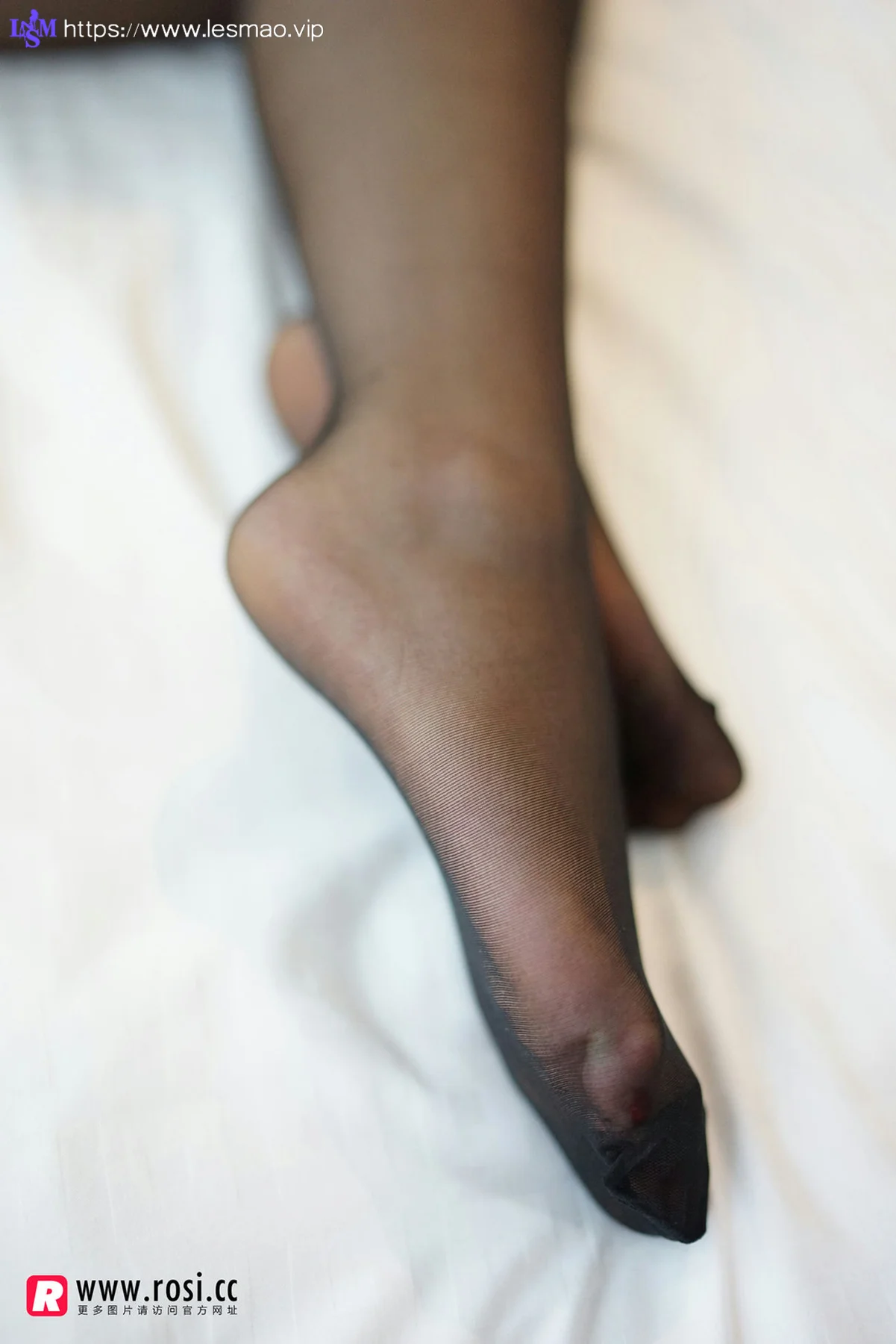 Rosi 写真 No.1339 - 40