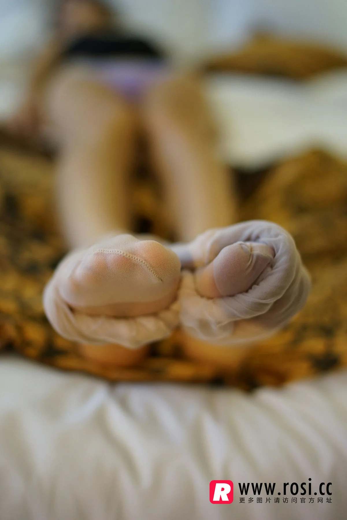 Rosi 写真 No.1355 - 24