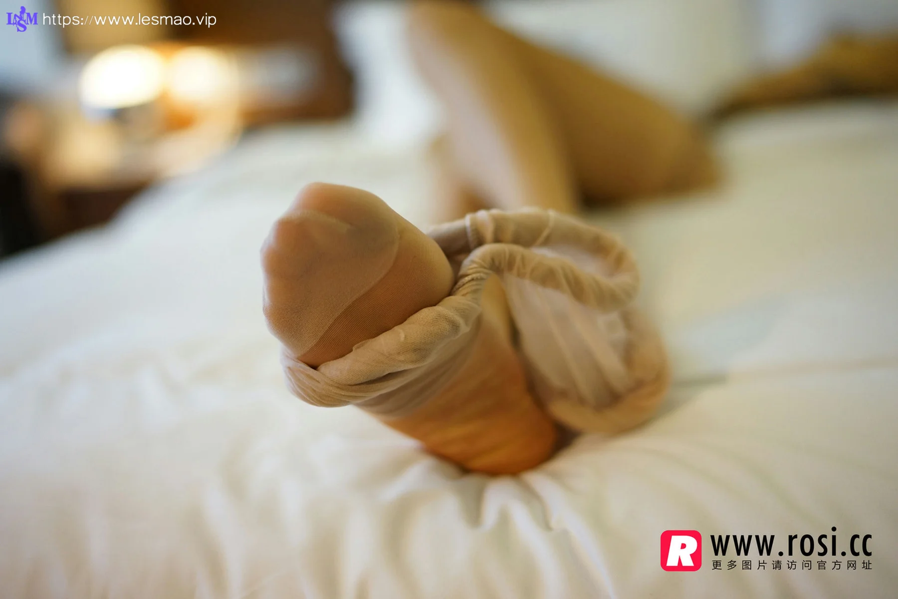 Rosi 写真 No.1355 - 25