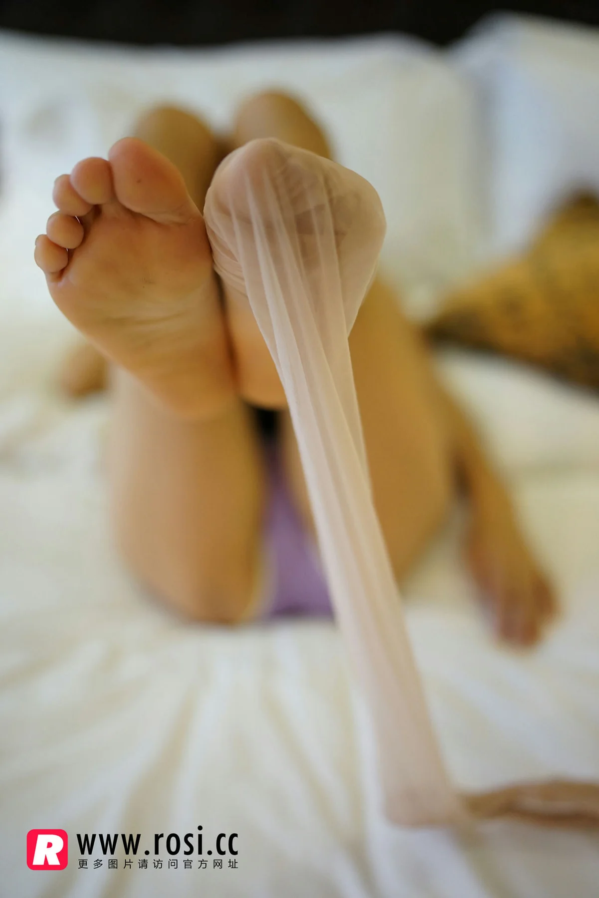 Rosi 写真 No.1355 - 29