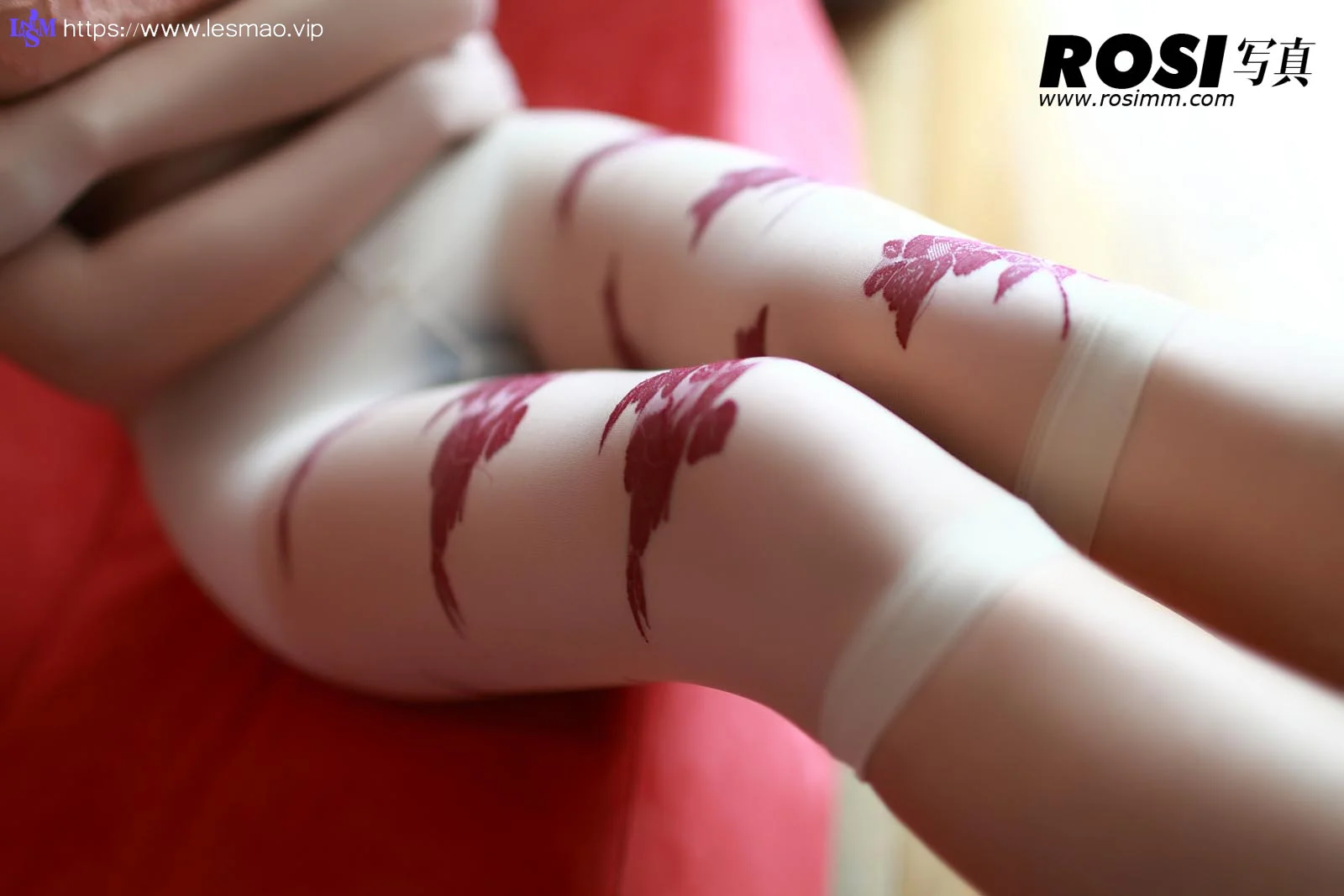 Rosi 写真 No.175 36P/32.10M - 11