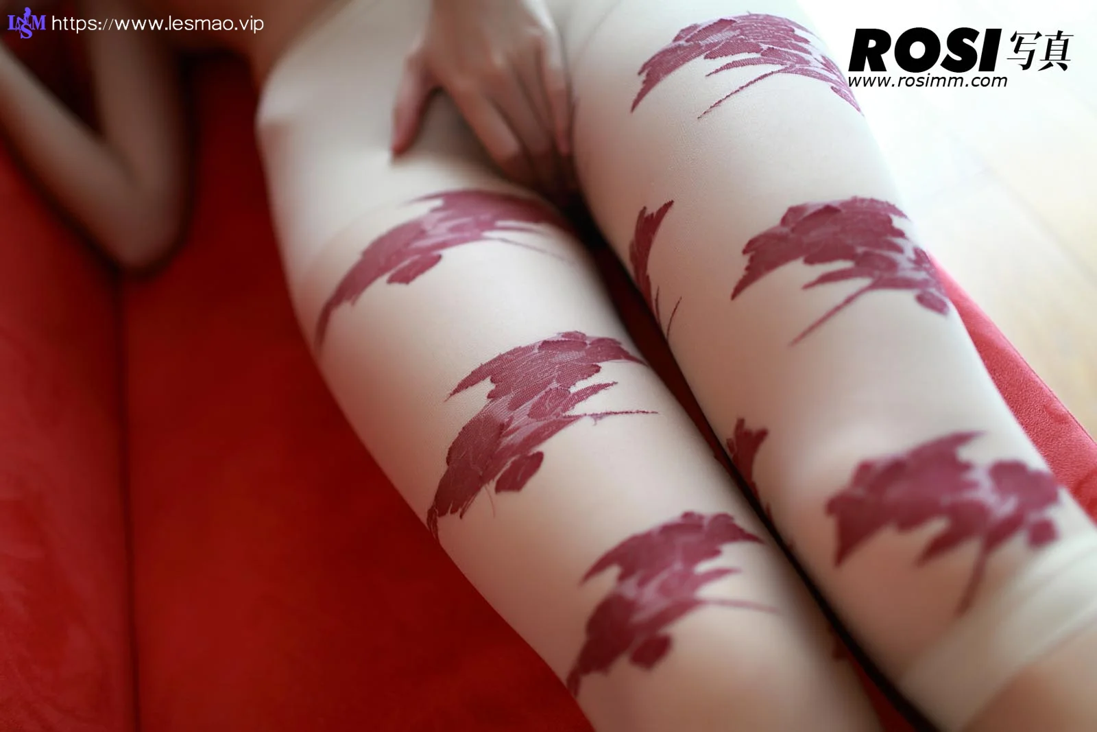 Rosi 写真 No.175 36P/32.10M - 16