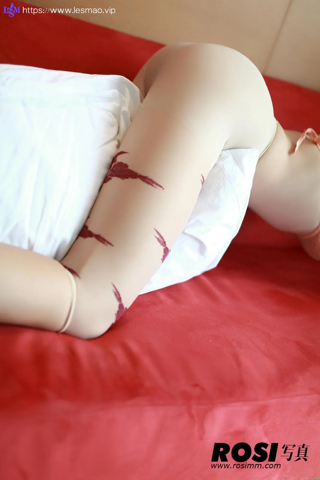 Rosi 写真 No.175 36P/32.10M - 35