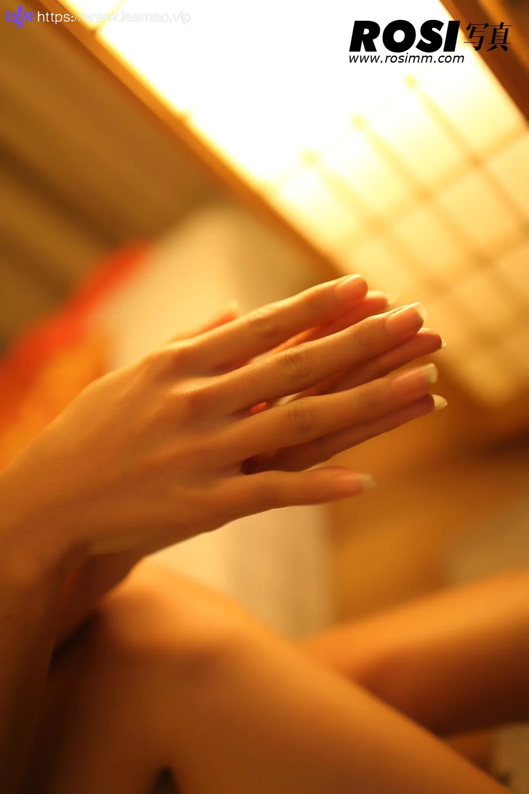 Rosi 写真 No.212 50P/46.13M - 18