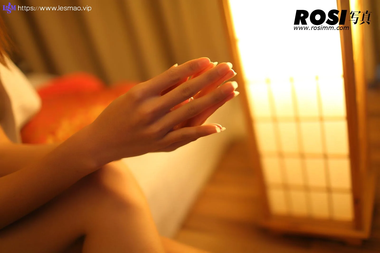 Rosi 写真 No.212 50P/46.13M - 19