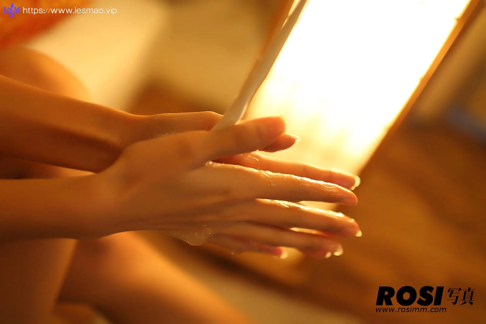 Rosi 写真 No.212 50P/46.13M - 30