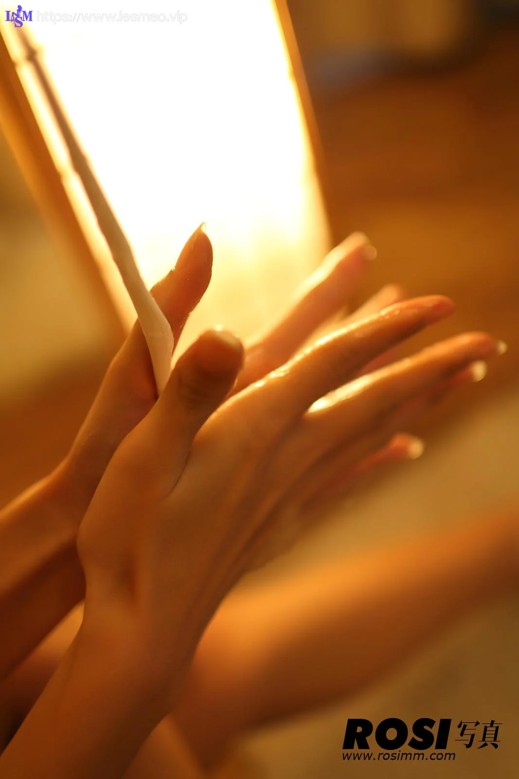 Rosi 写真 No.212 50P/46.13M - 32