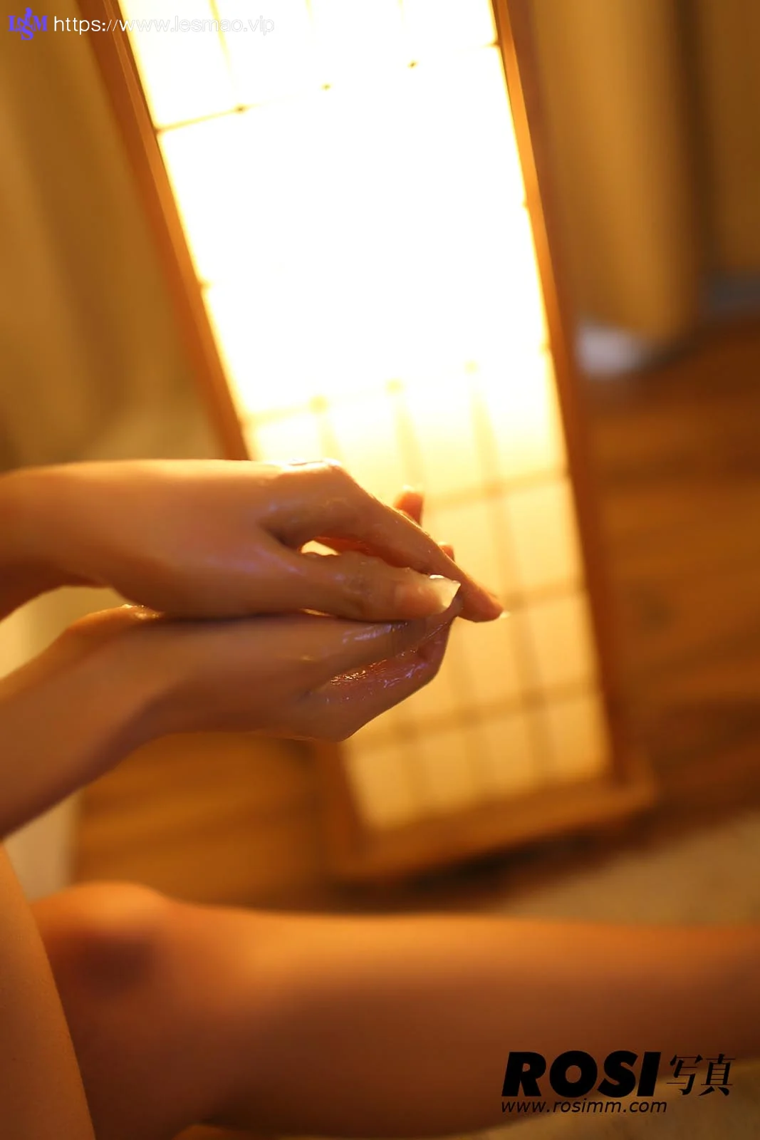 Rosi 写真 No.212 50P/46.13M - 40